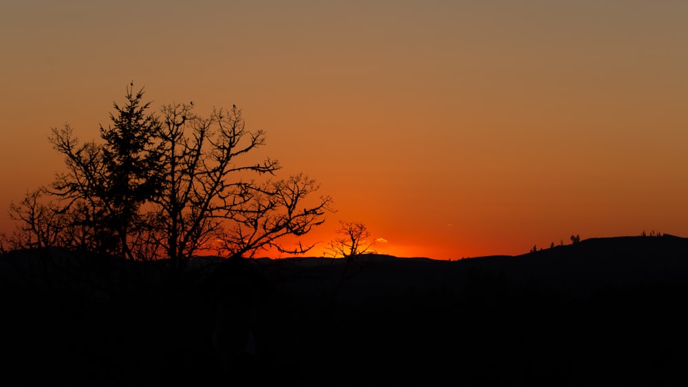 the sun is setting behind a tree on a hill