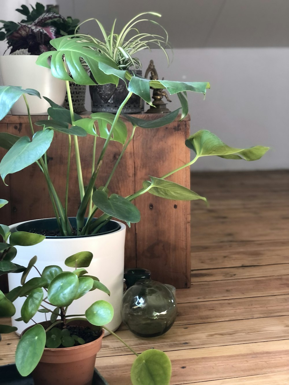 a group of potted plants sitting on top of a wooden table