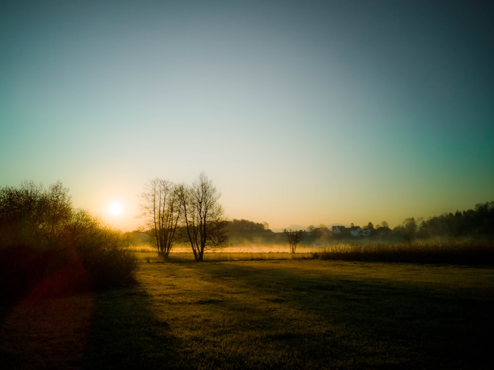 the sun is setting over a grassy field