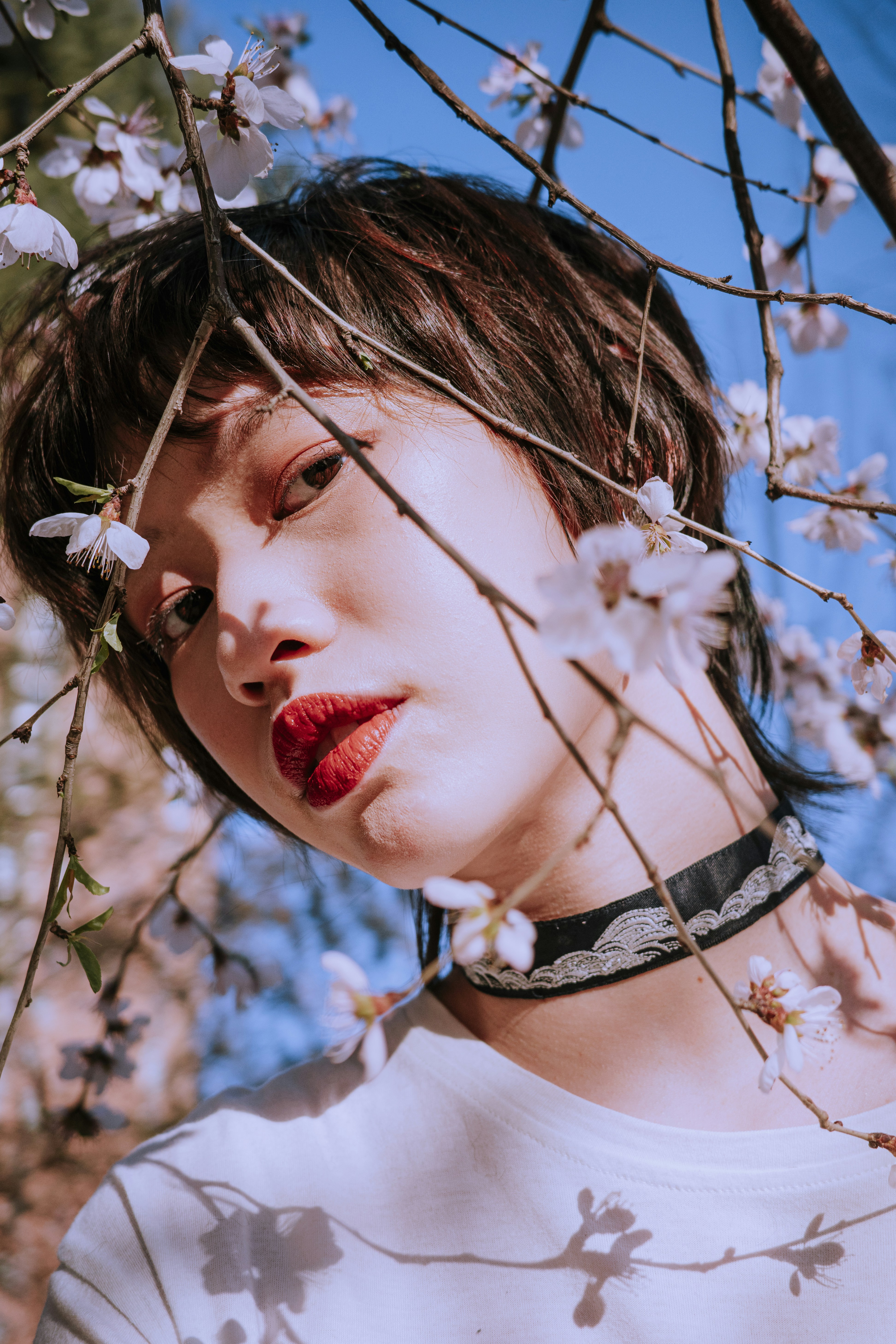 Photo by dynamicwang