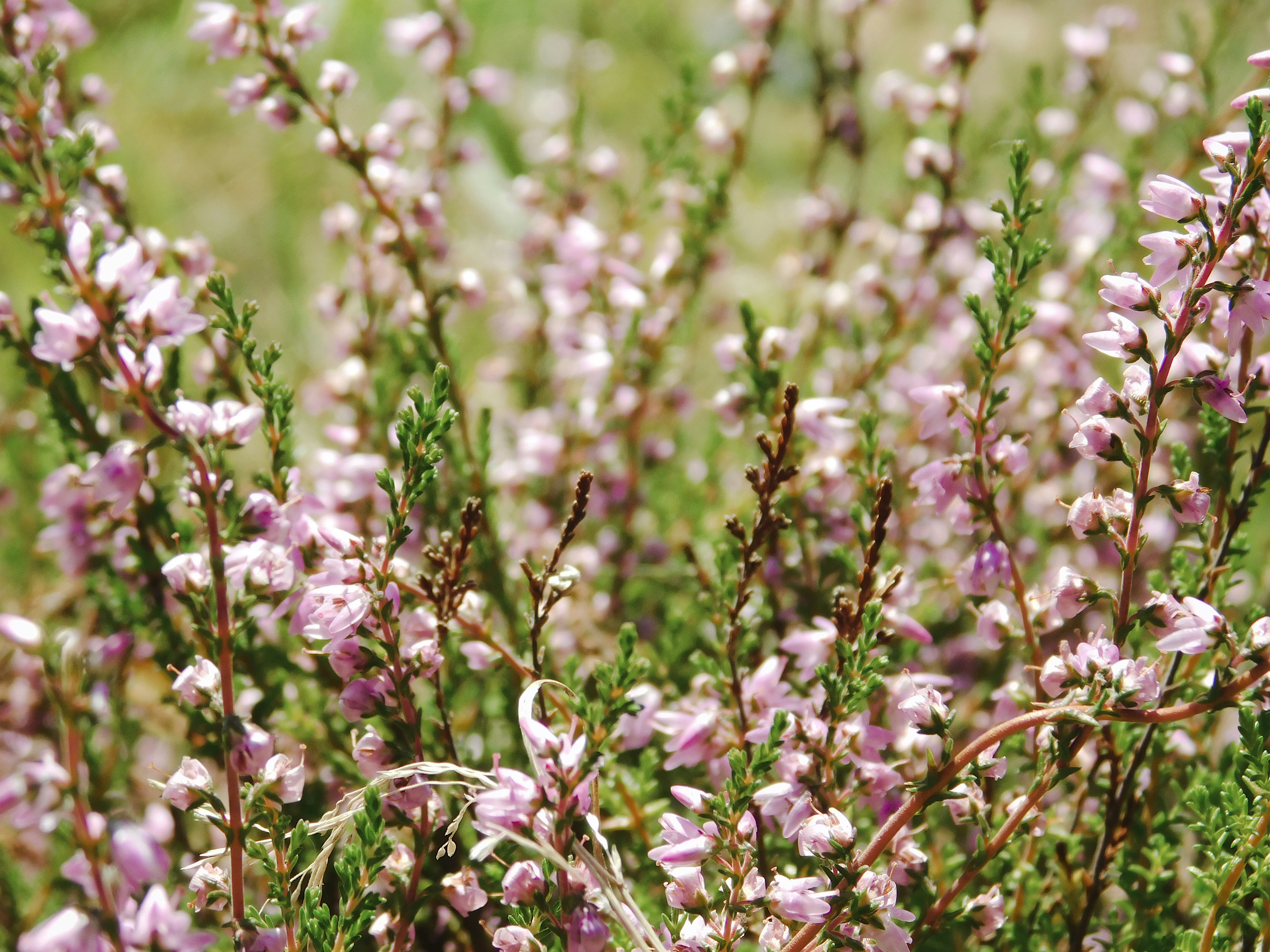 Photo by confutation