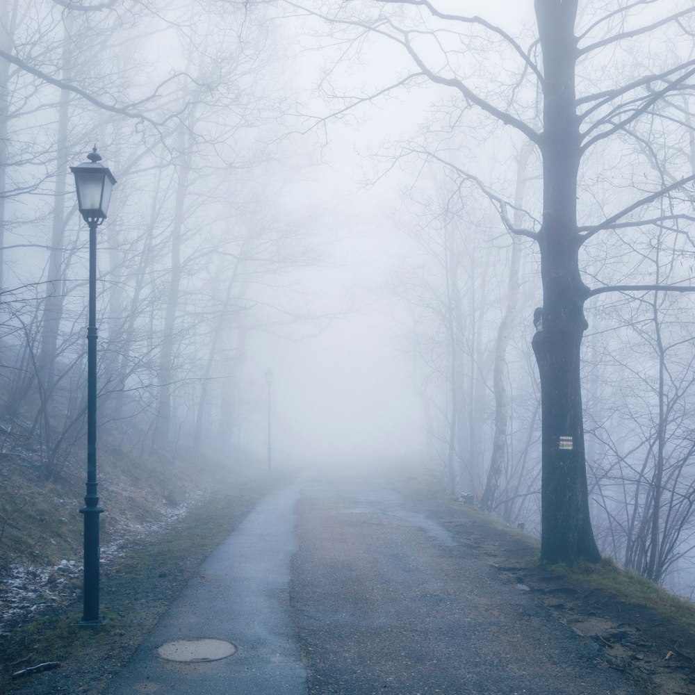 a foggy path in the woods with a lamp post