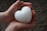 a person holding a white heart in their hands