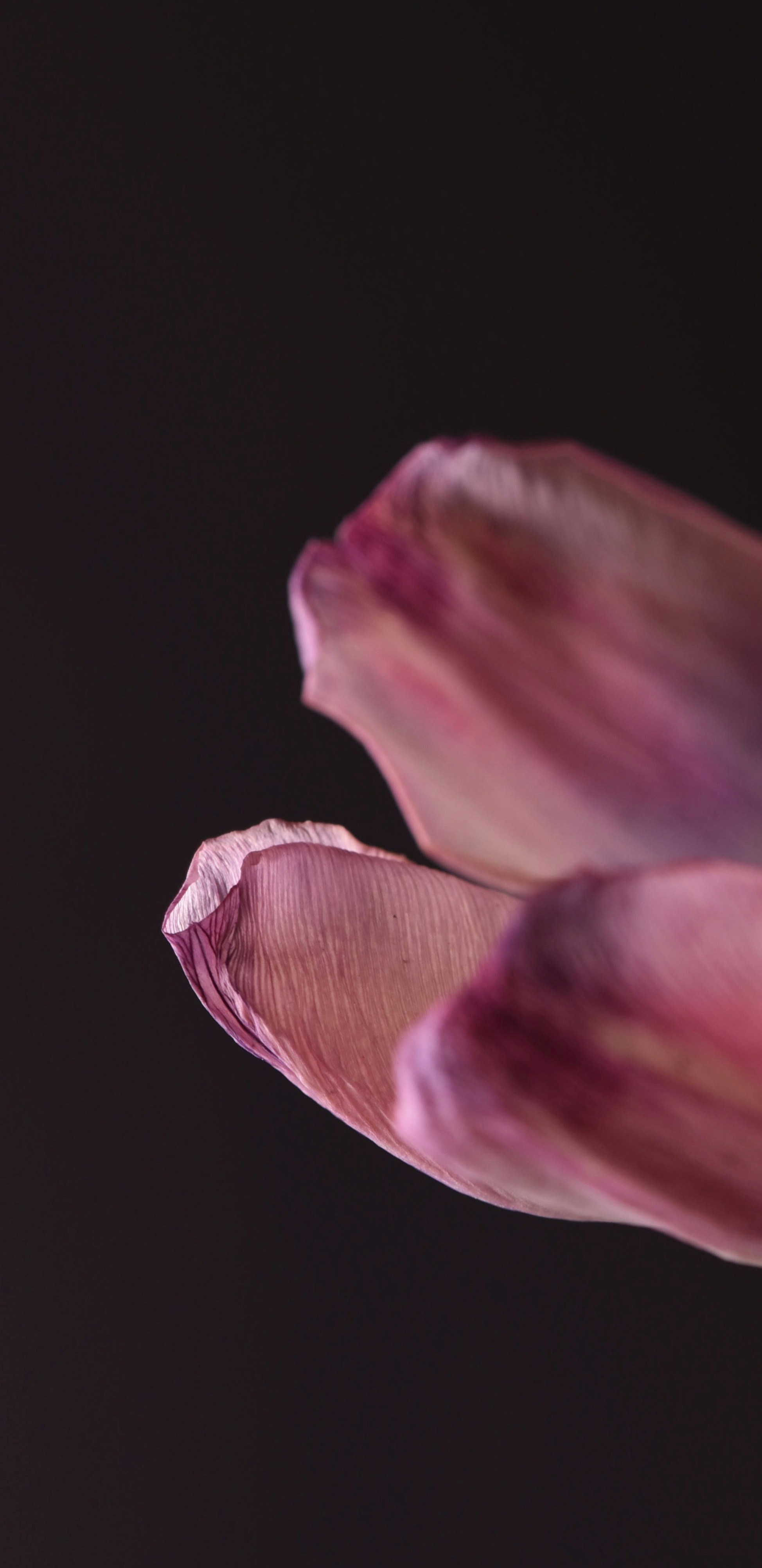 Photo by alexandrastam