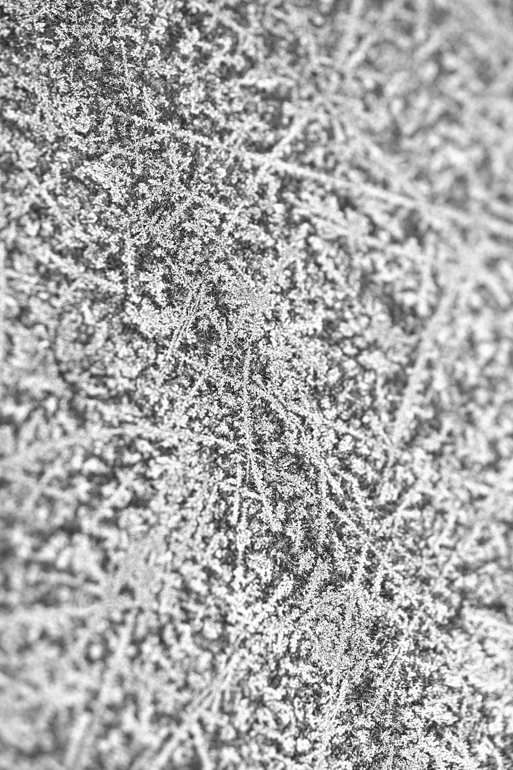 a black and white photo of a textured surface