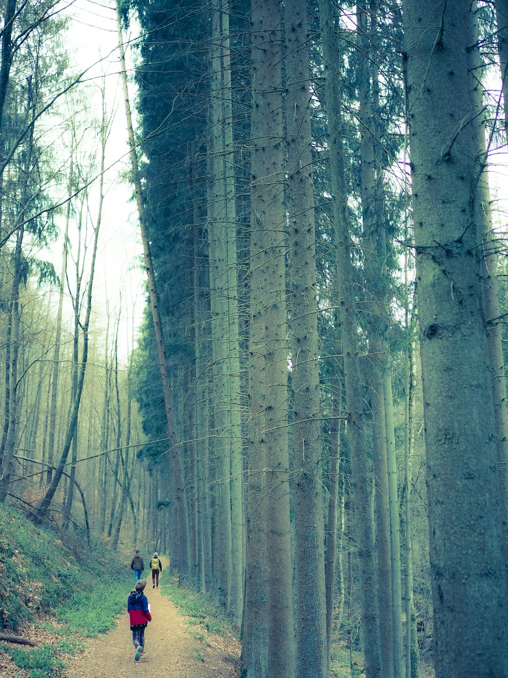 two people walking down a path in the woods