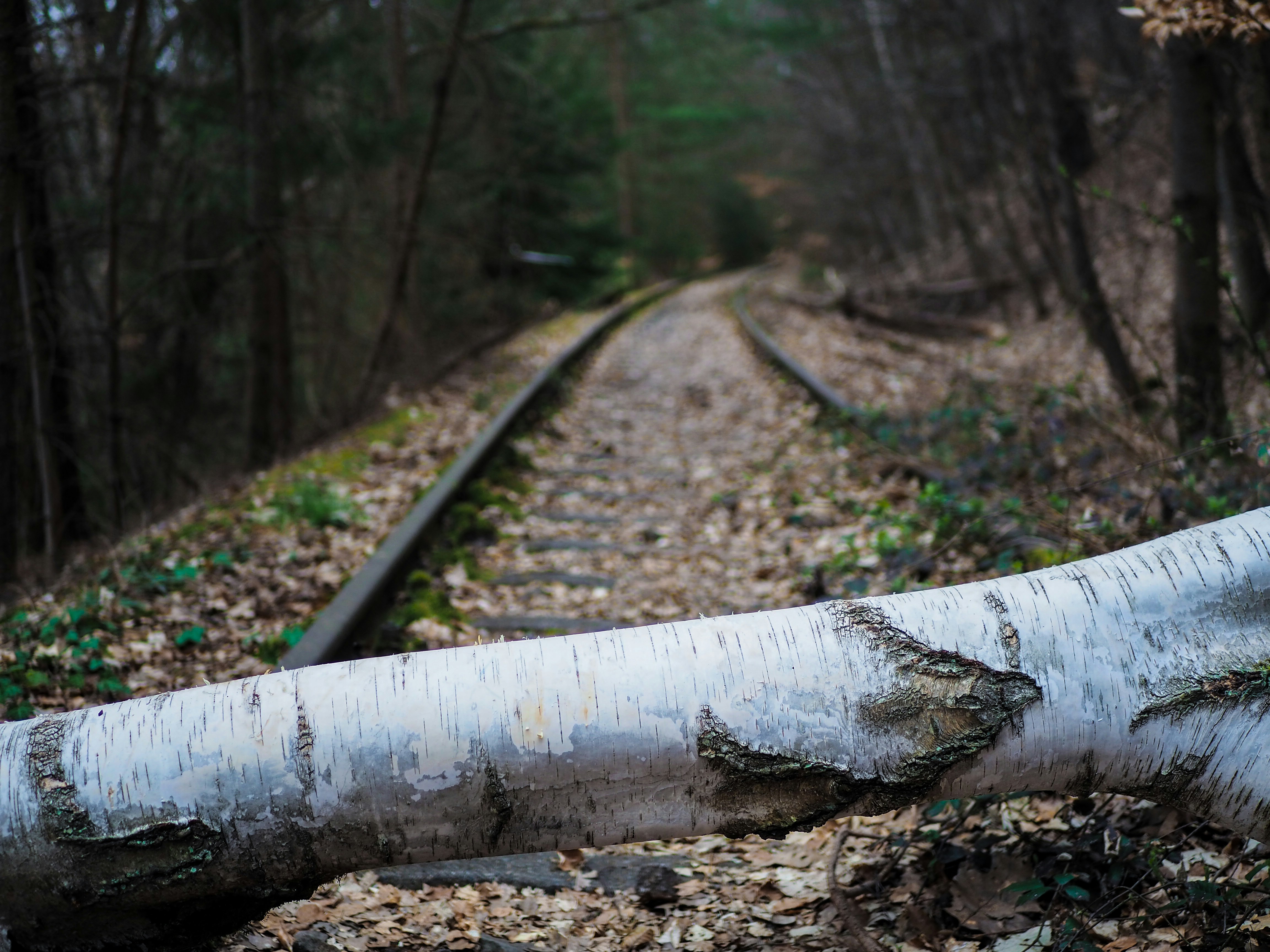 ** An abstract visualization of a continuous integration/delivery (CI/CD) pipeline, representing automated software development and deployment processes.