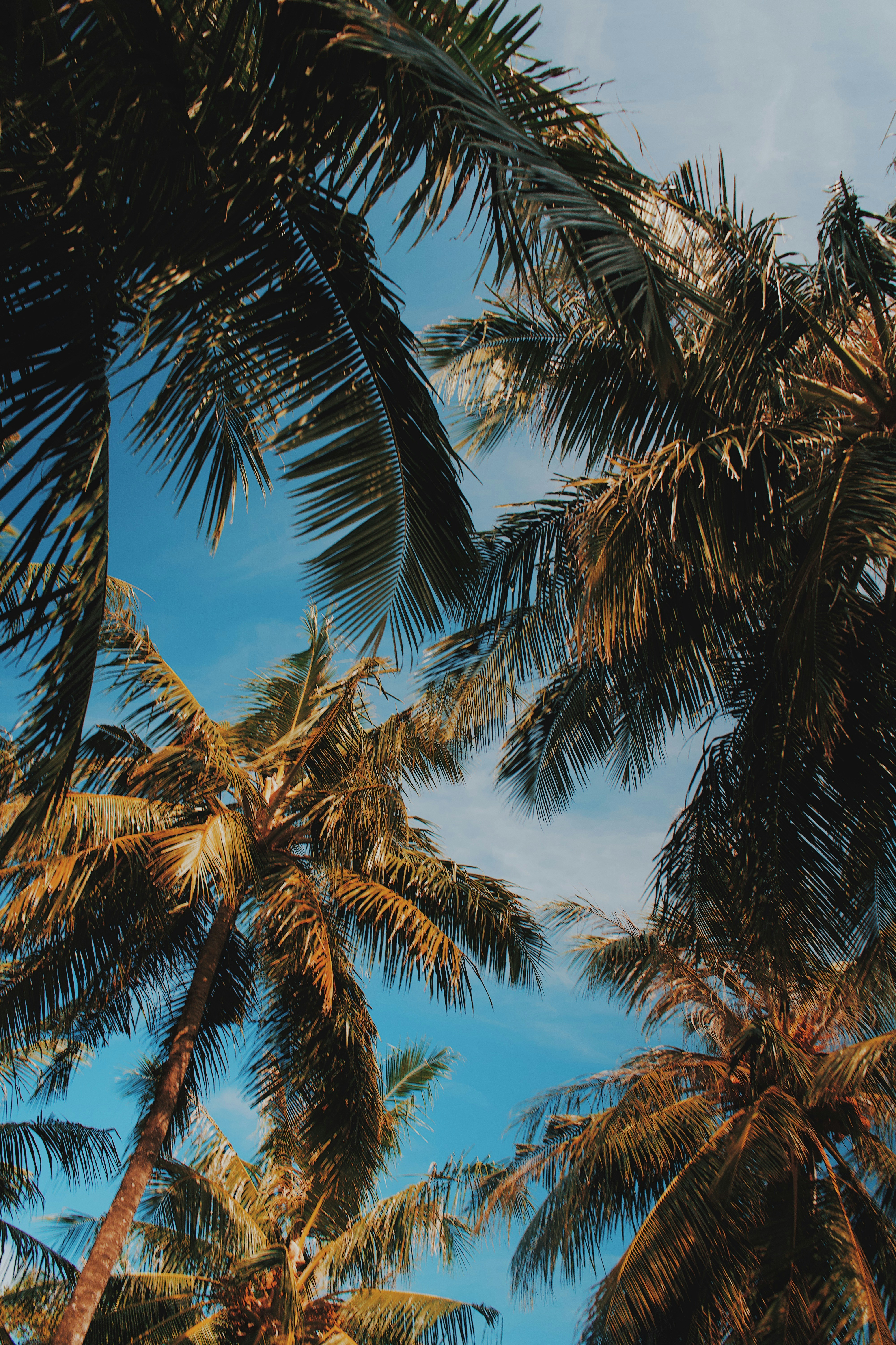 Photo by jonathanneversleeps