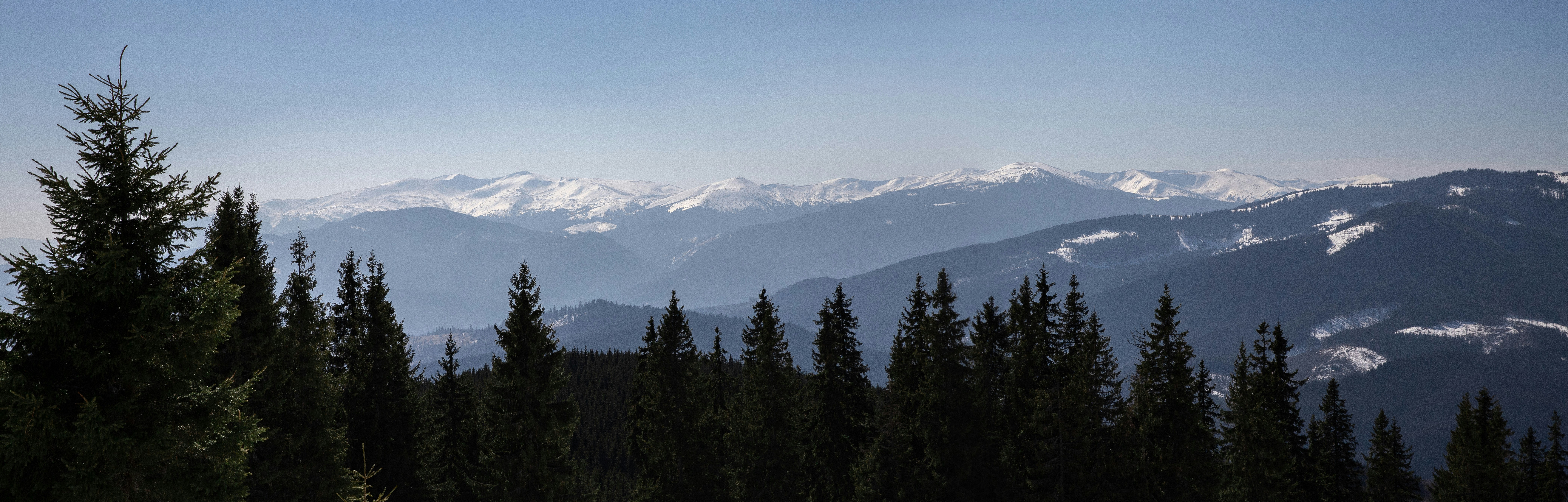 Photo by tasteofdalife