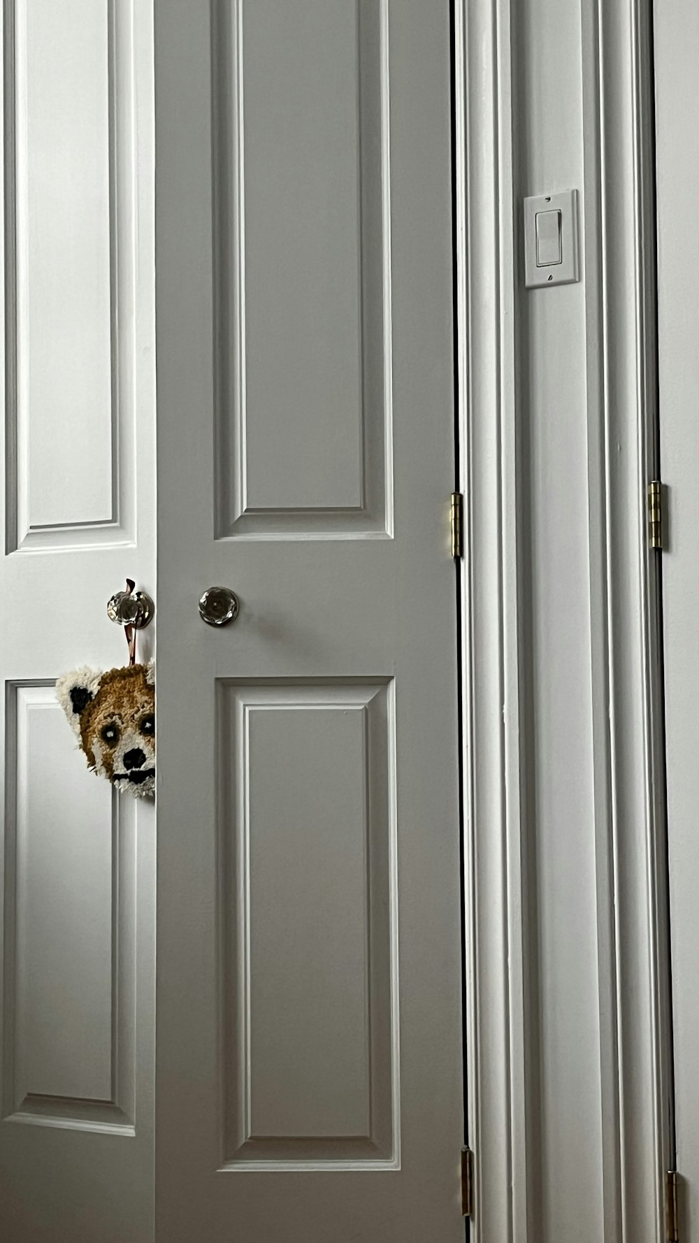 a door with a stuffed animal peeking out of it