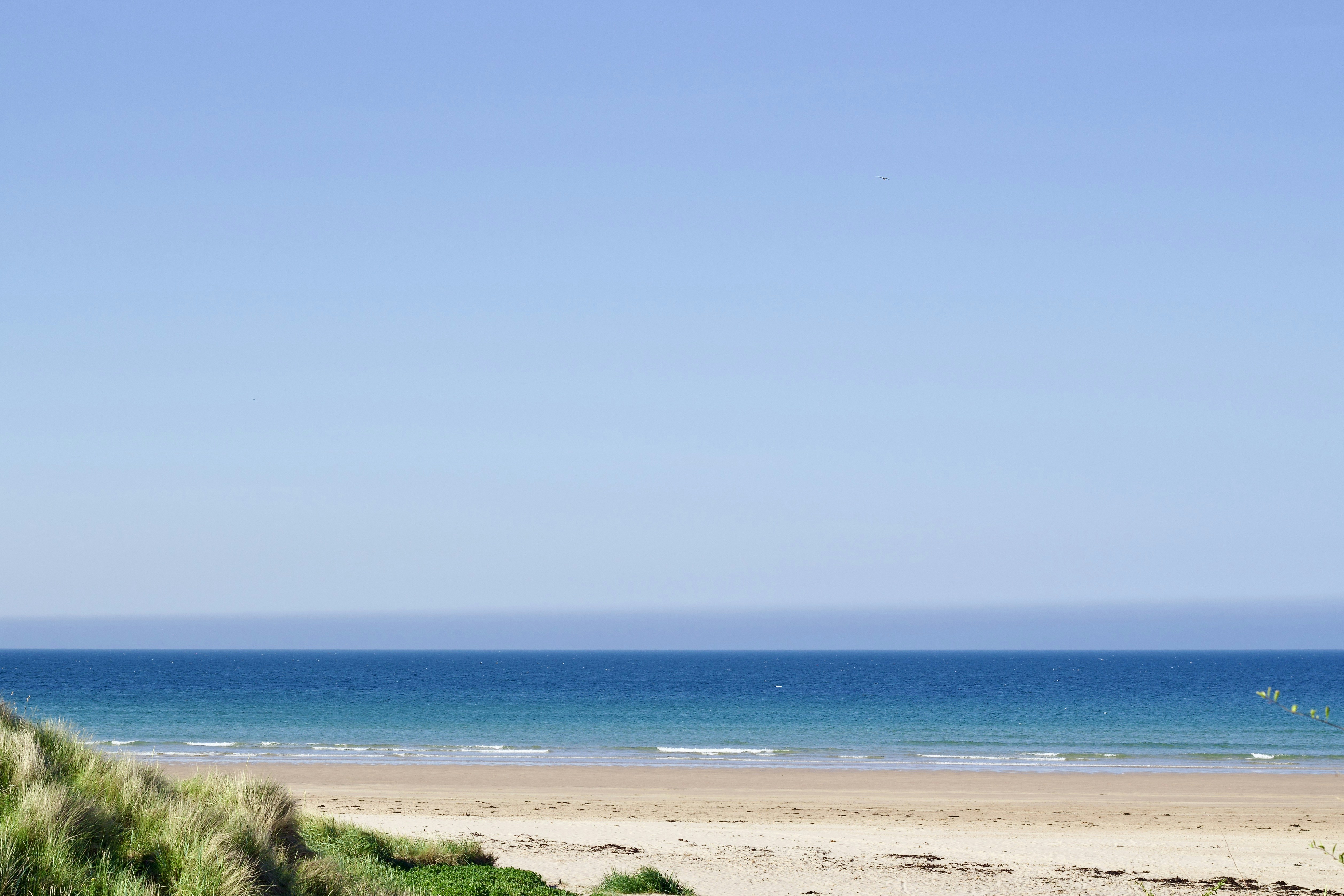 Photo by eleonoramir