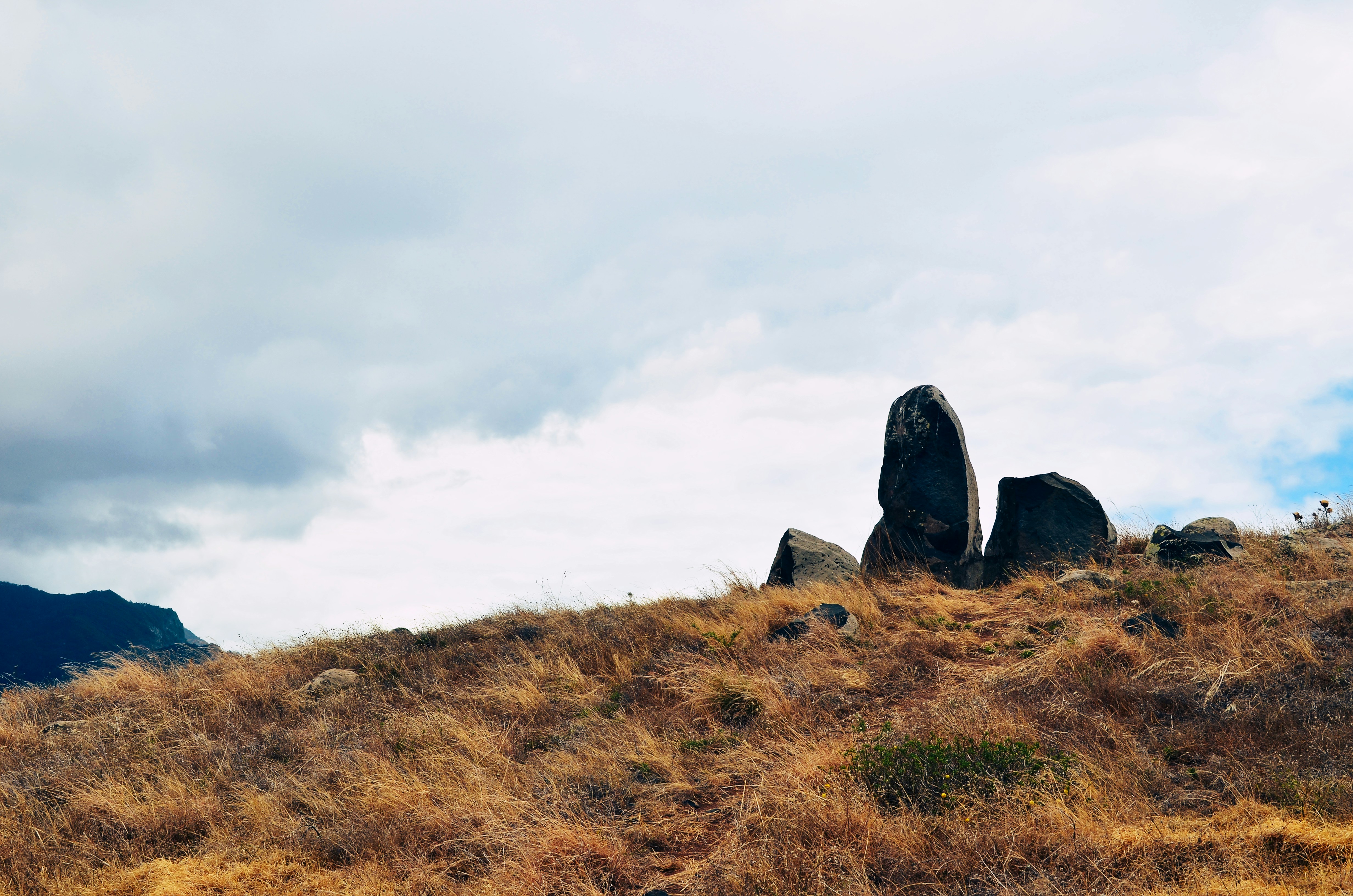 Photo by phictionalone