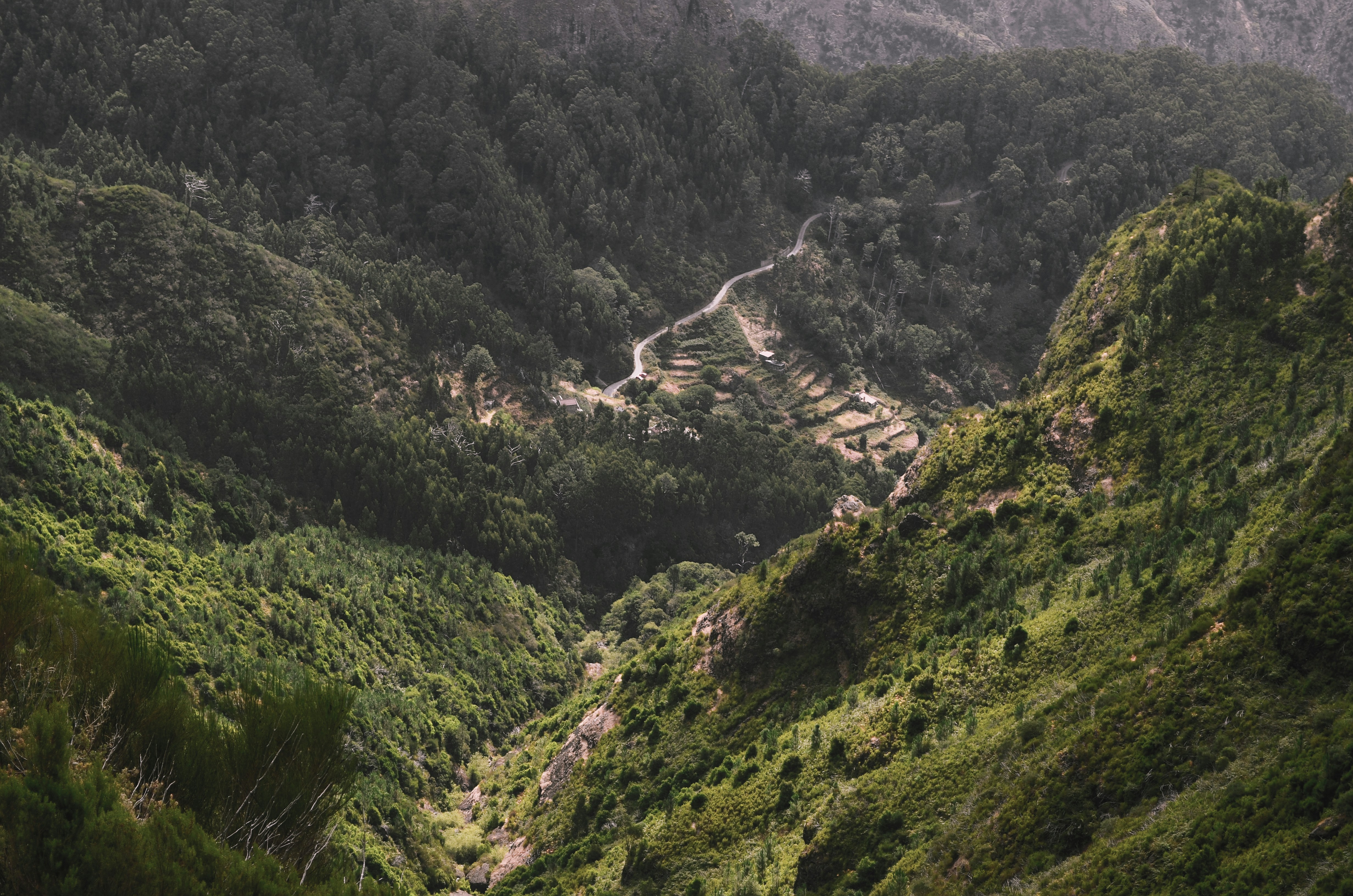 Photo by phictionalone