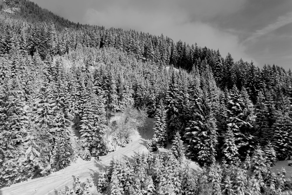 a black and white photo of a snowy mountain