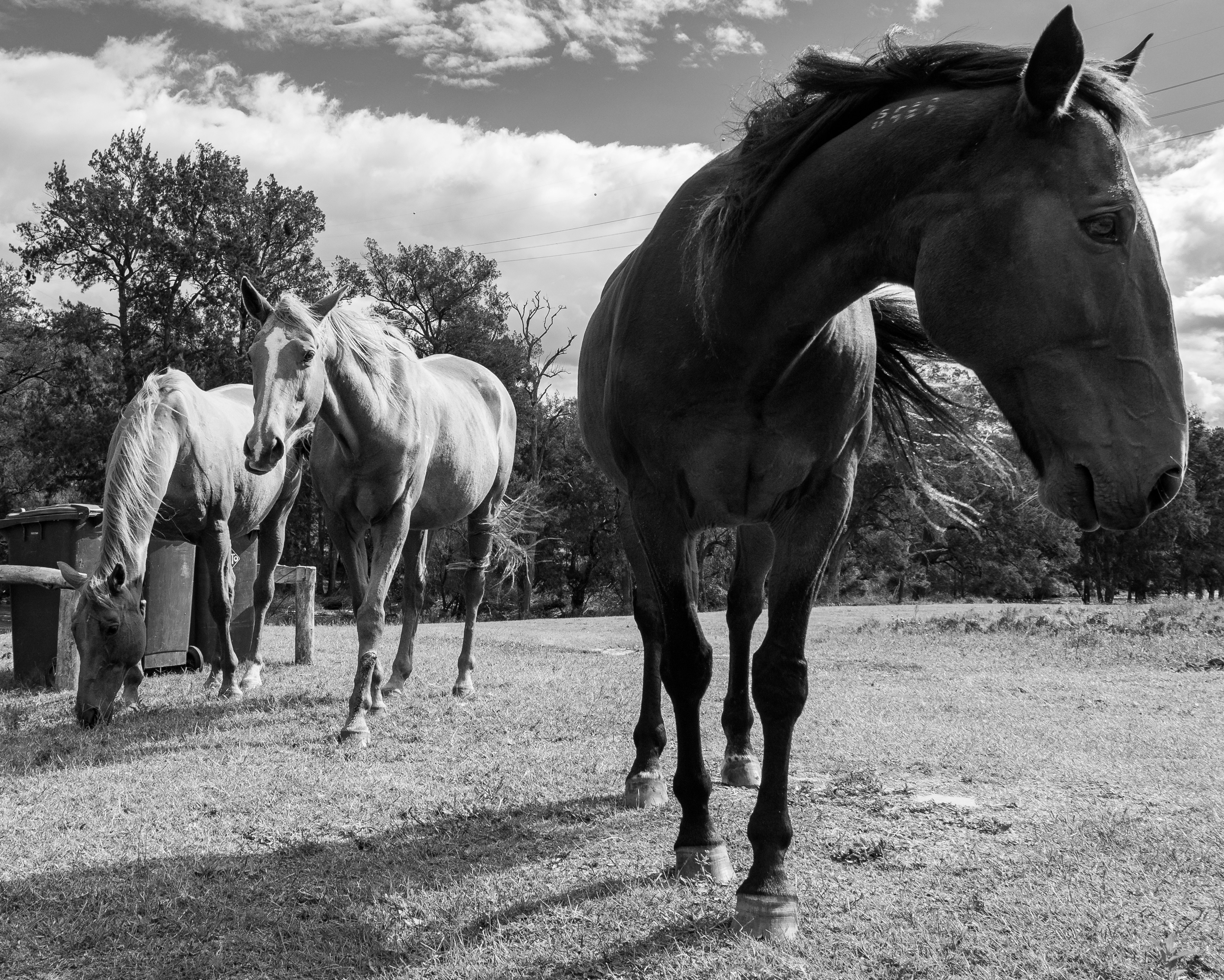 Photo by partial_exposure