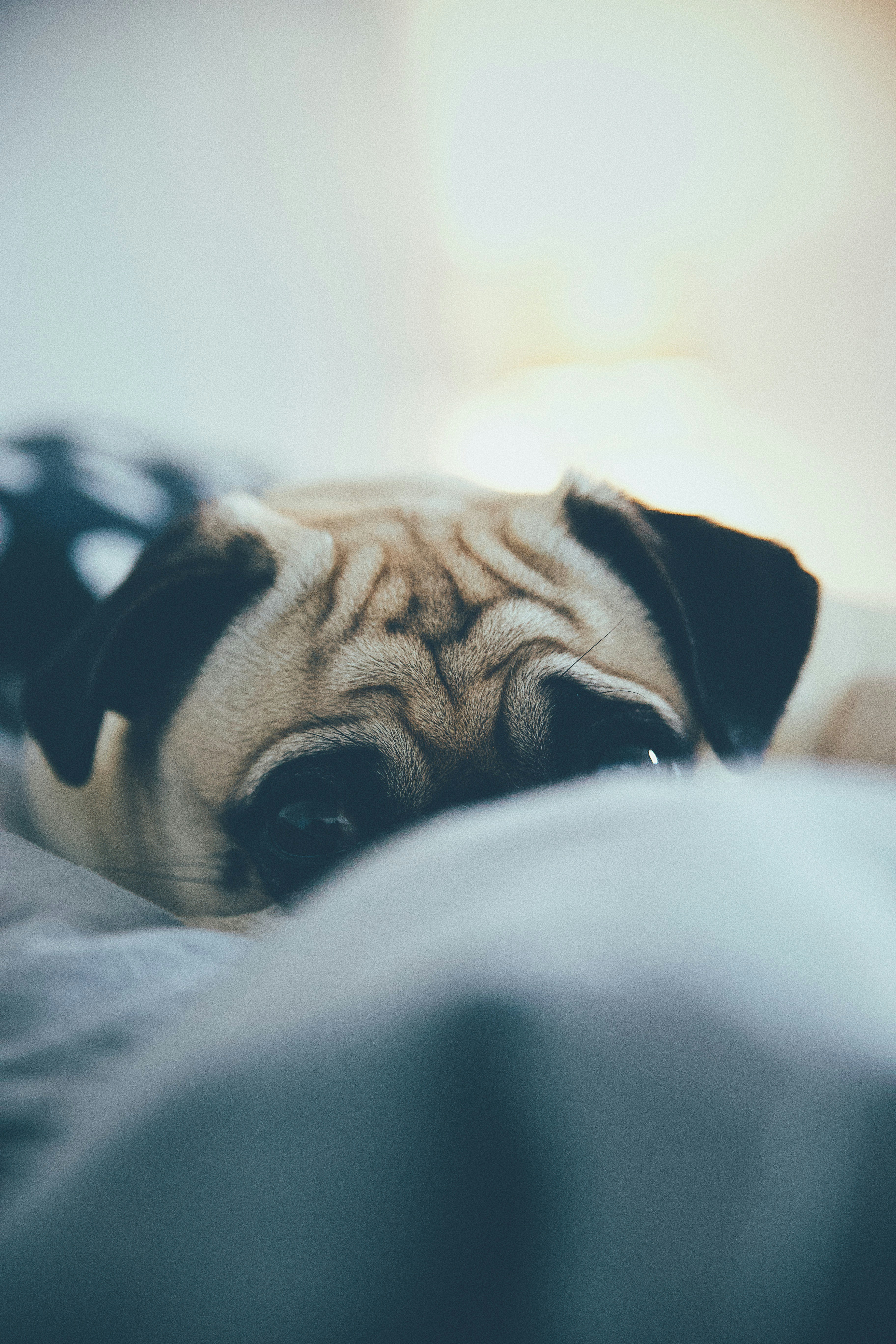 Photo by swagstreetboi