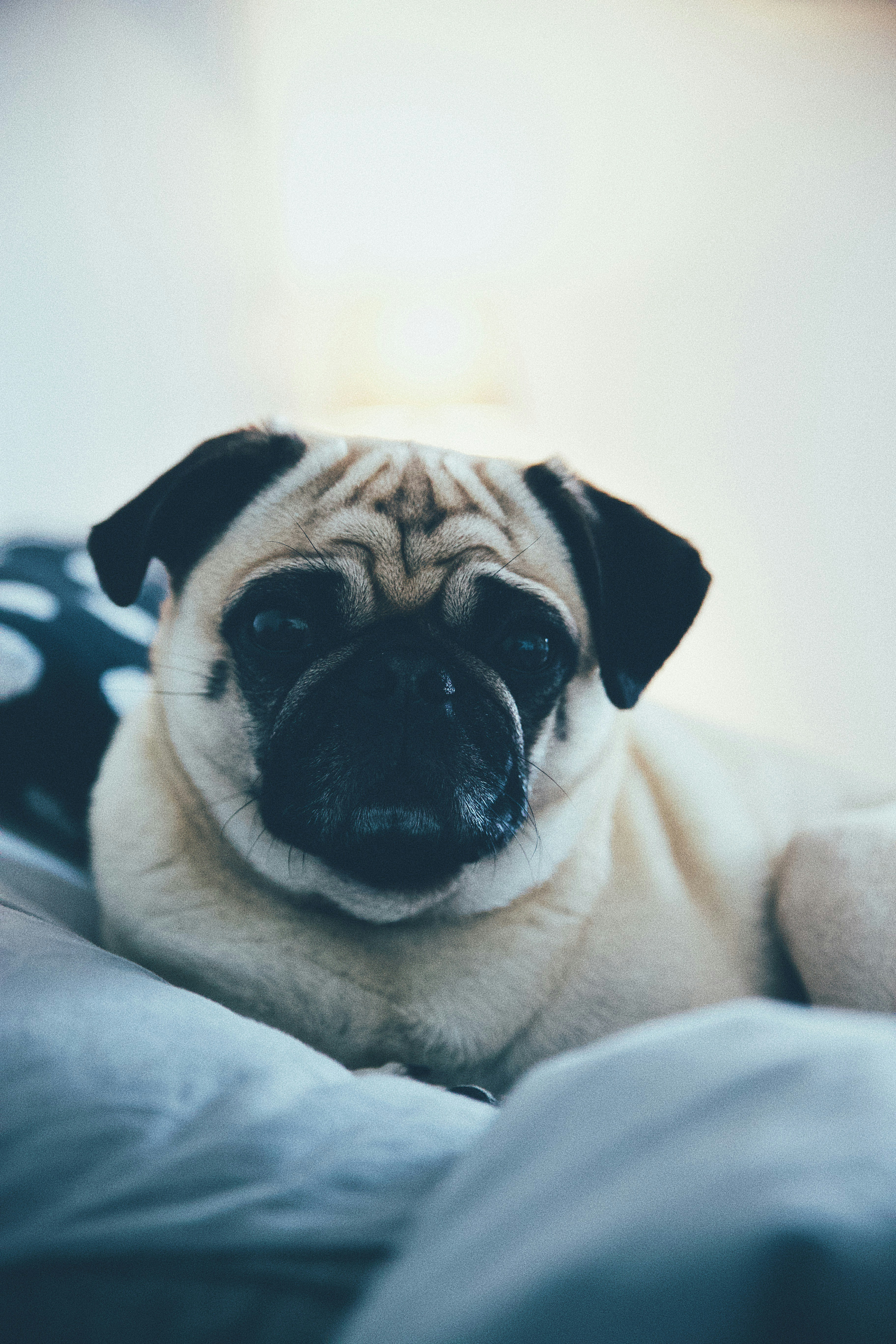 Photo by swagstreetboi