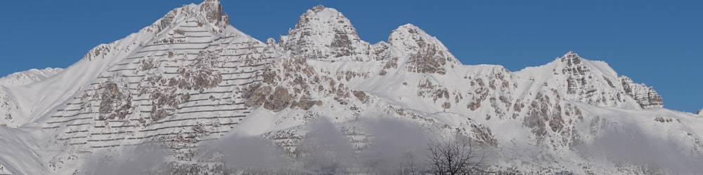 a snow covered mountain with trees in the foreground