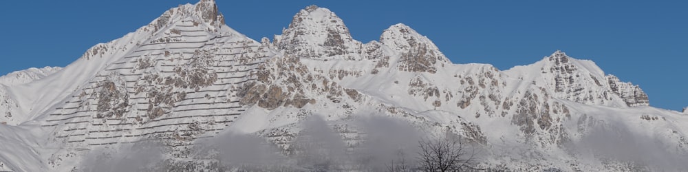 ein schneebedeckter Berg mit Bäumen im Vordergrund