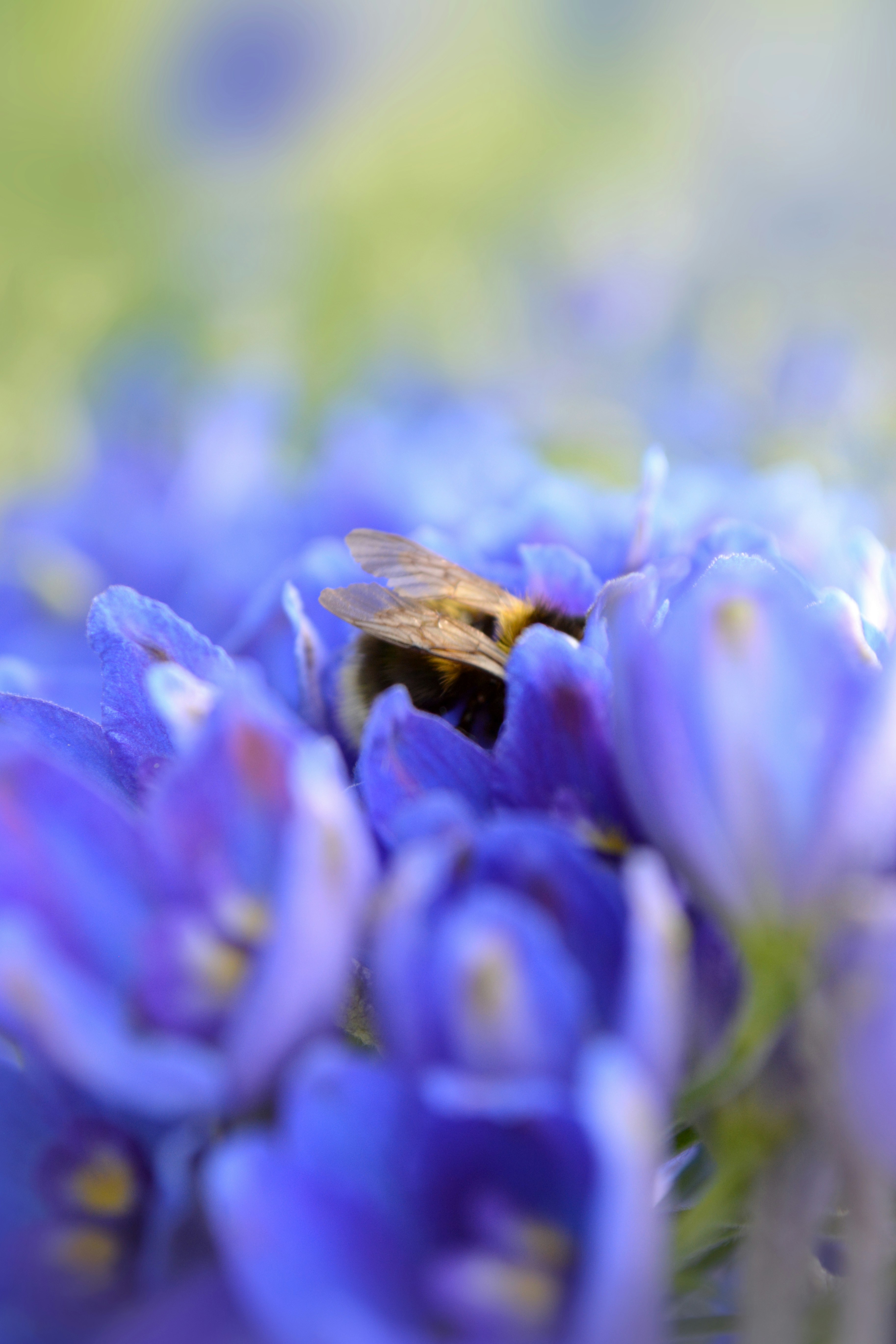 Photo by andreavirtuell