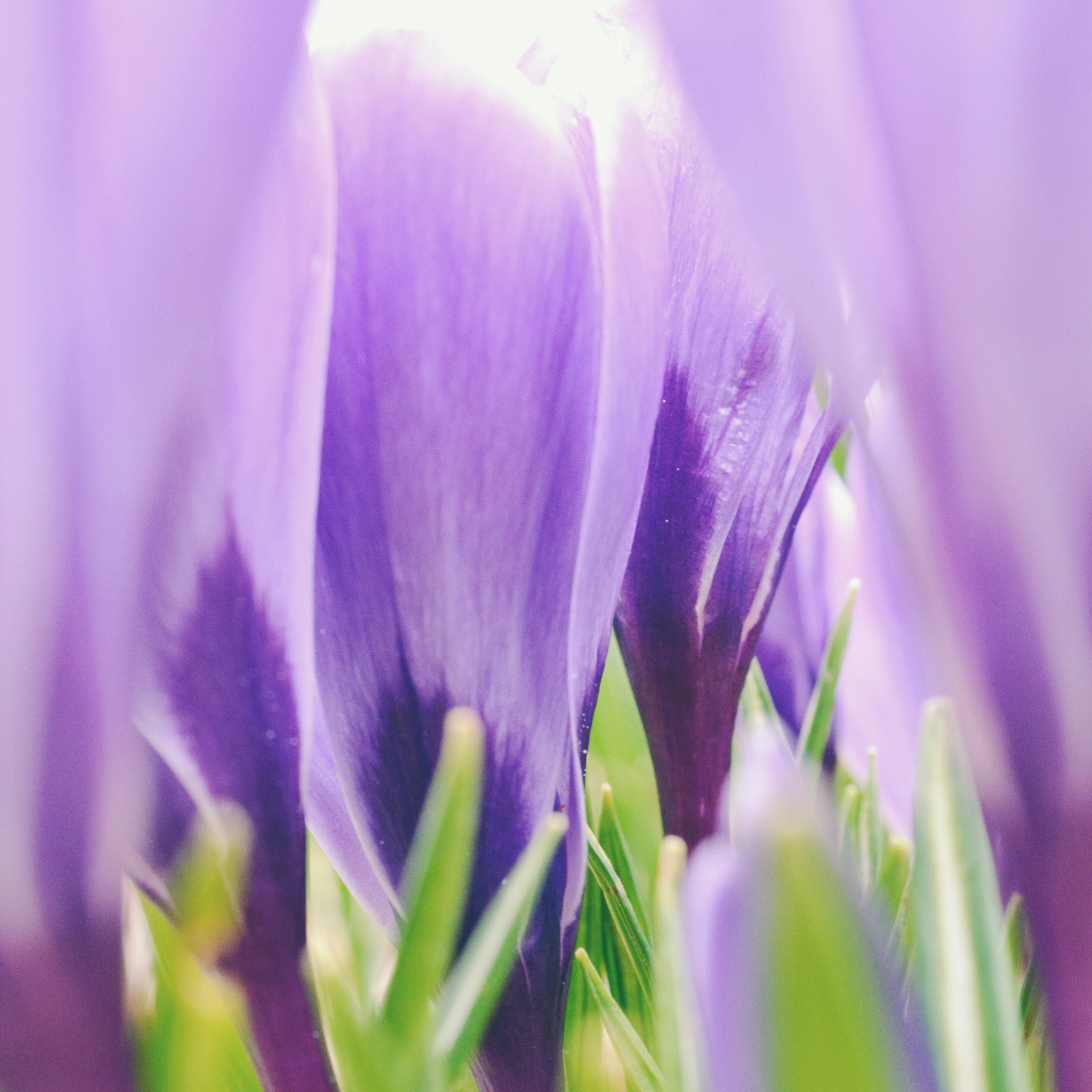 Photo by andreavirtuell