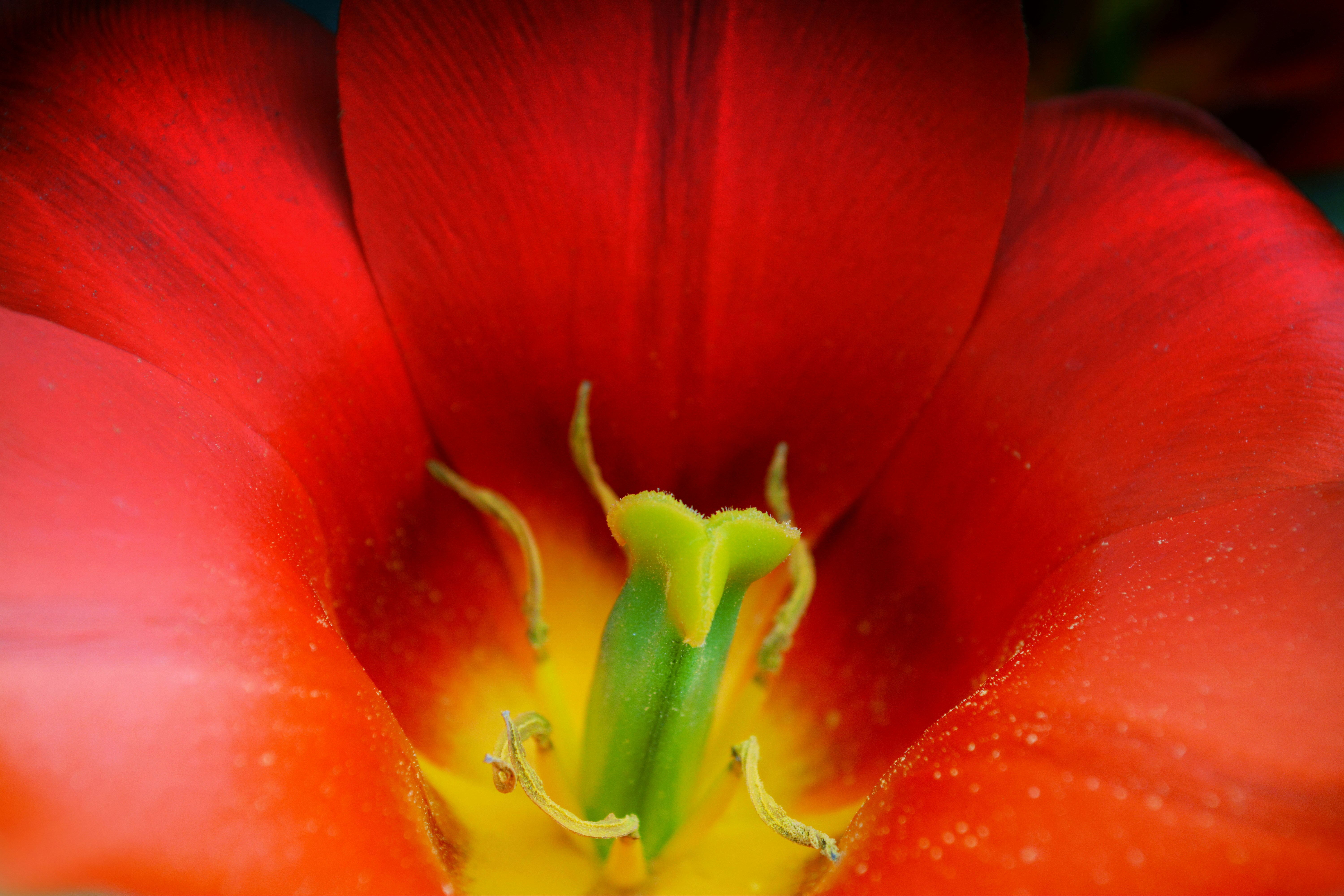 Photo by andreavirtuell