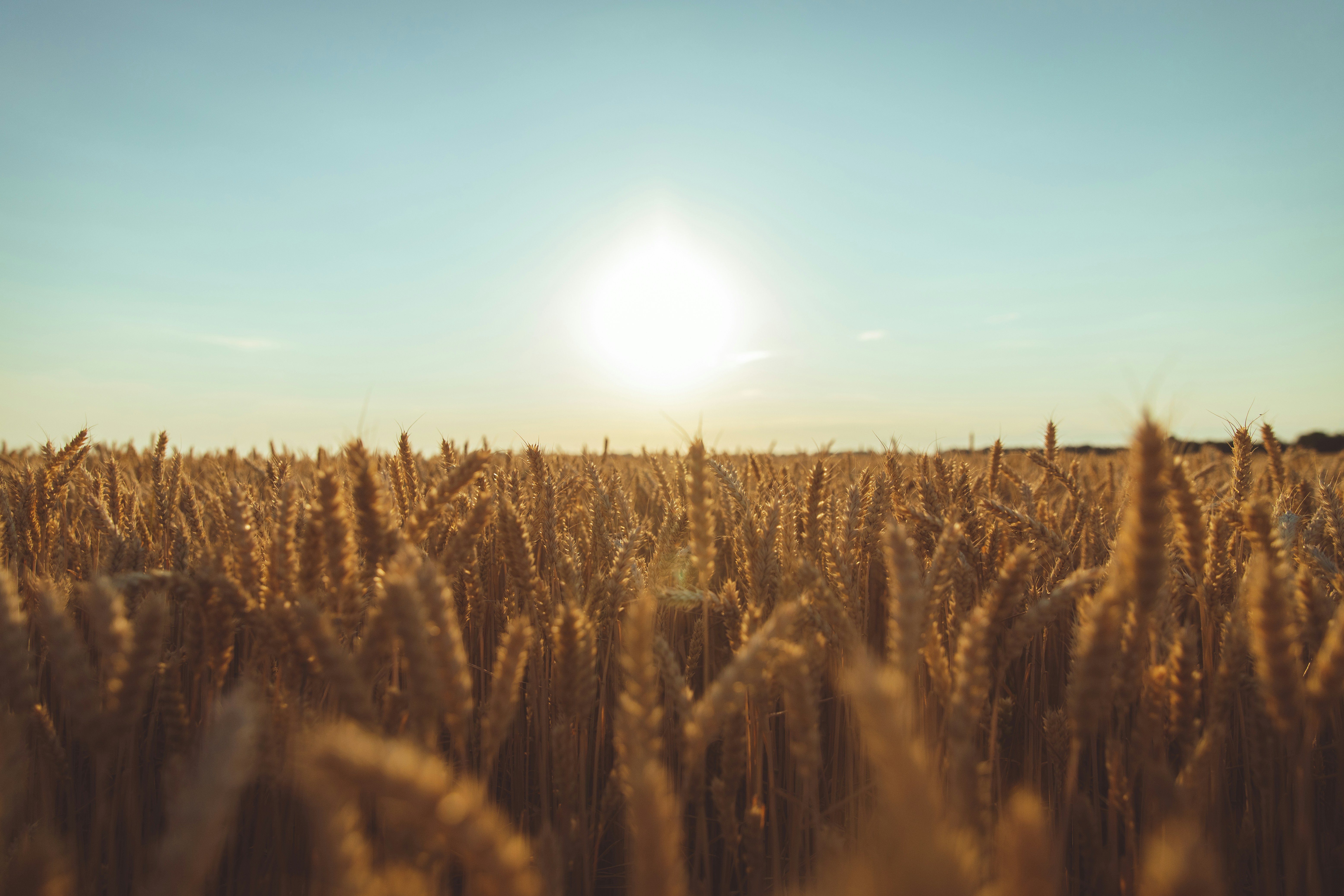 Photo by tasteofdalife