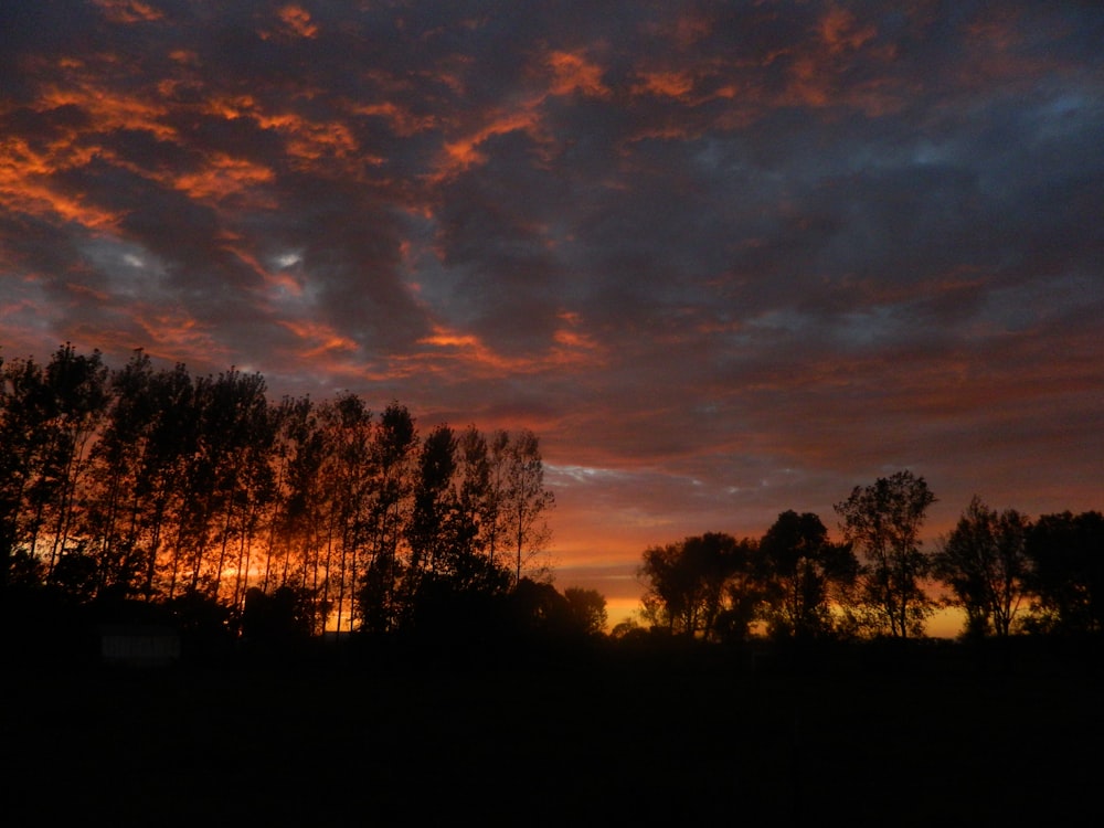 a sunset with clouds and trees in the background