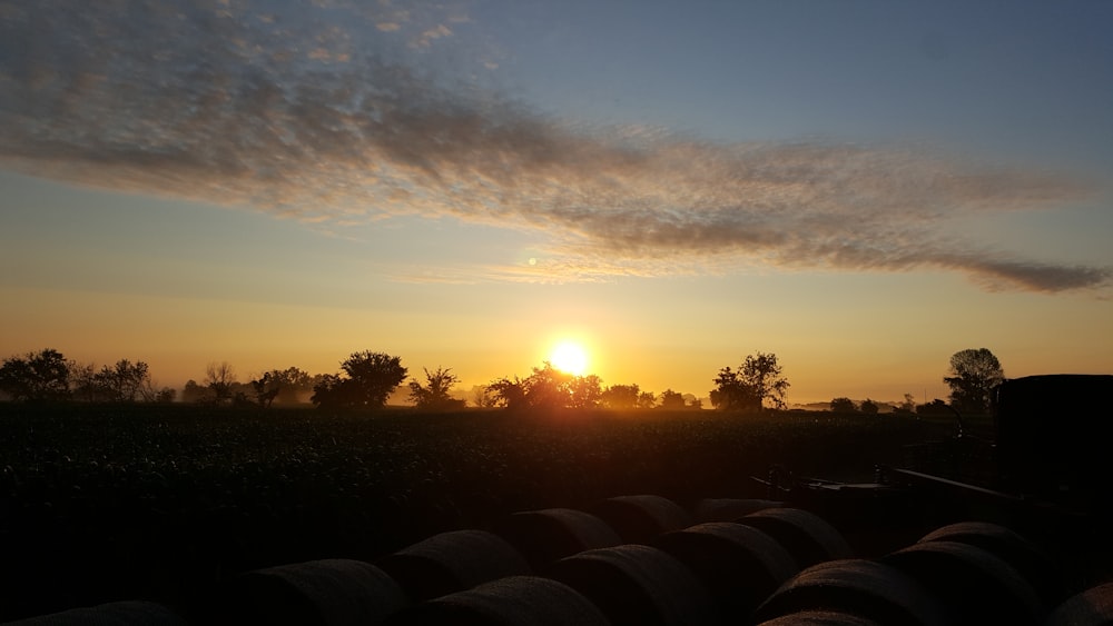 the sun is setting over a field of crops