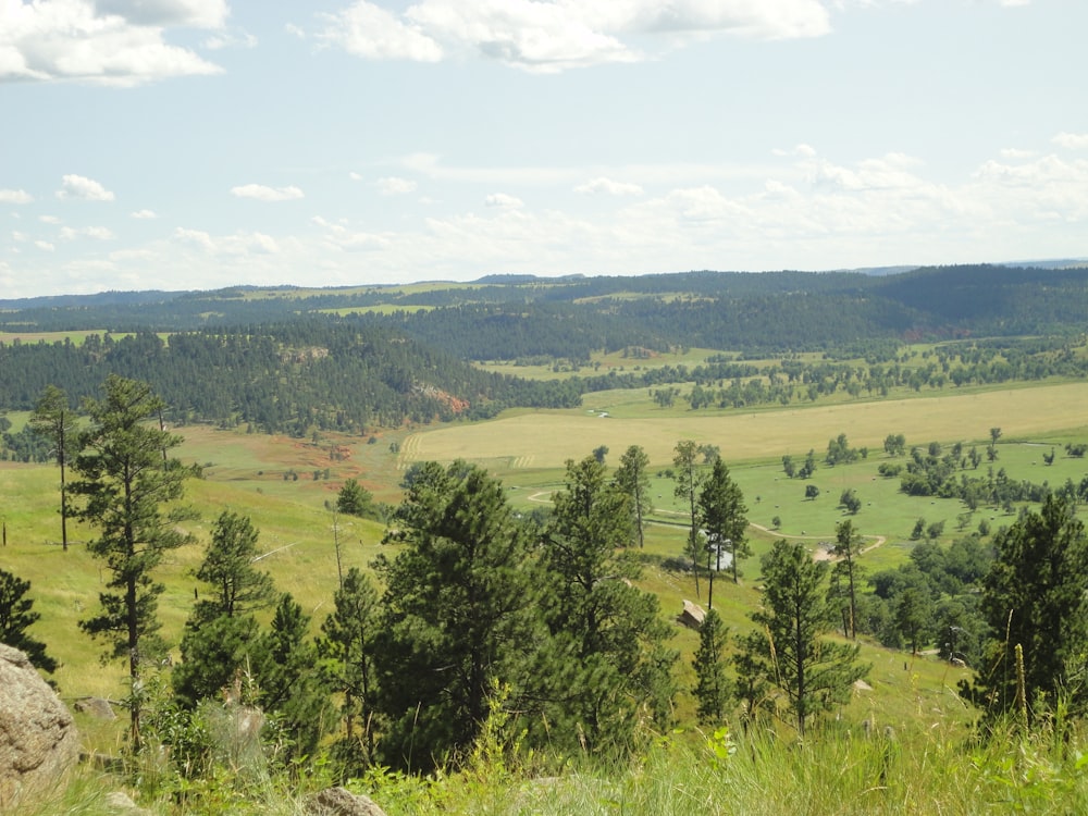 a scenic view of a green valley with trees