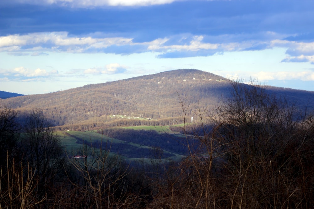 a view of a mountain range with trees in the foreground