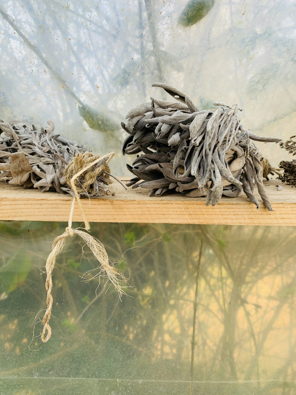 a close up of a piece of driftwood on a shelf