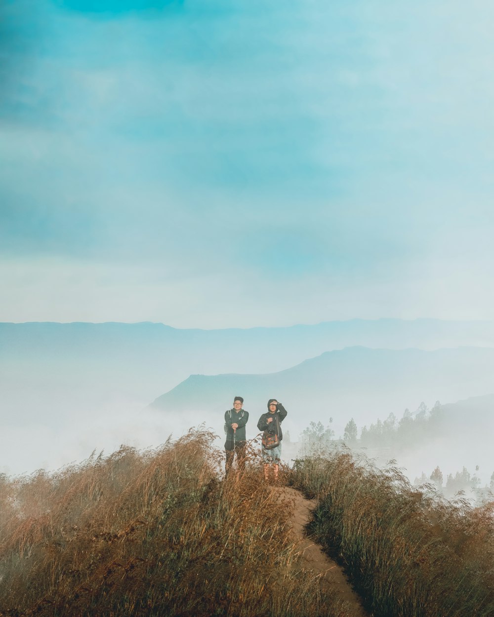 a couple of people standing on top of a grass covered hill