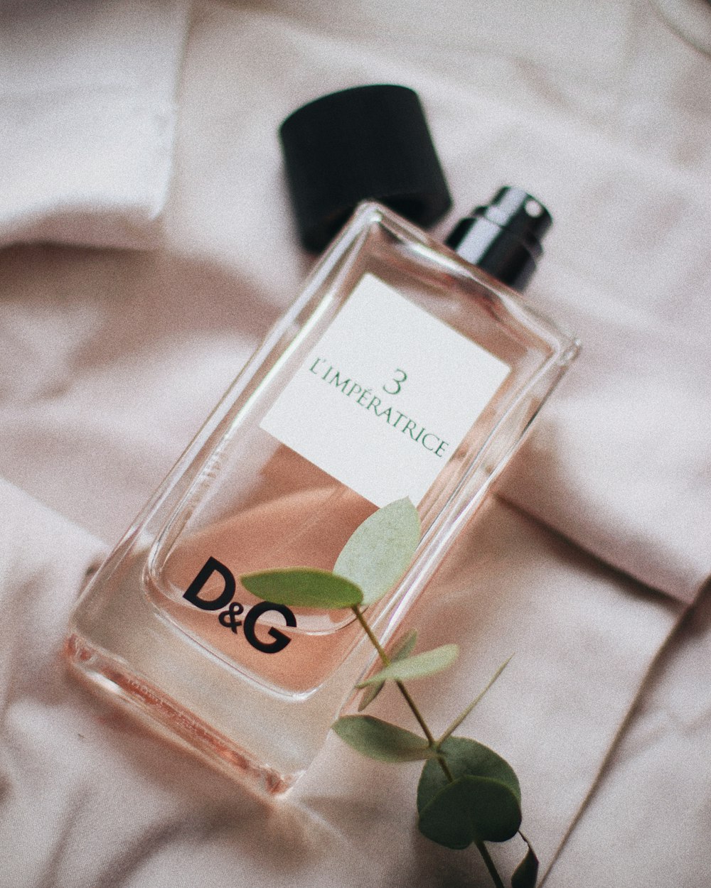 a bottle of d & g perfume next to a plant