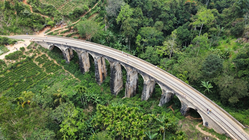 an aerial view of a bridge in the middle of a forest