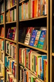 A series of shelves filled with a variety of books, featuring vibrant and diverse covers. The titles are neatly organized, displaying a range of genres and topics.