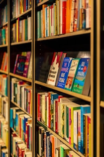 Bookshelves filled with diverse books in Lansaribook bookstore.