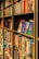 A vibrant bookshelf filled with various genres of books in a well-lit room.
