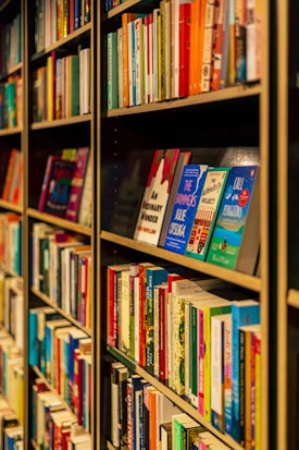 A series of shelves filled with a variety of books, featuring vibrant and diverse covers. The titles are neatly organized, displaying a range of genres and topics.