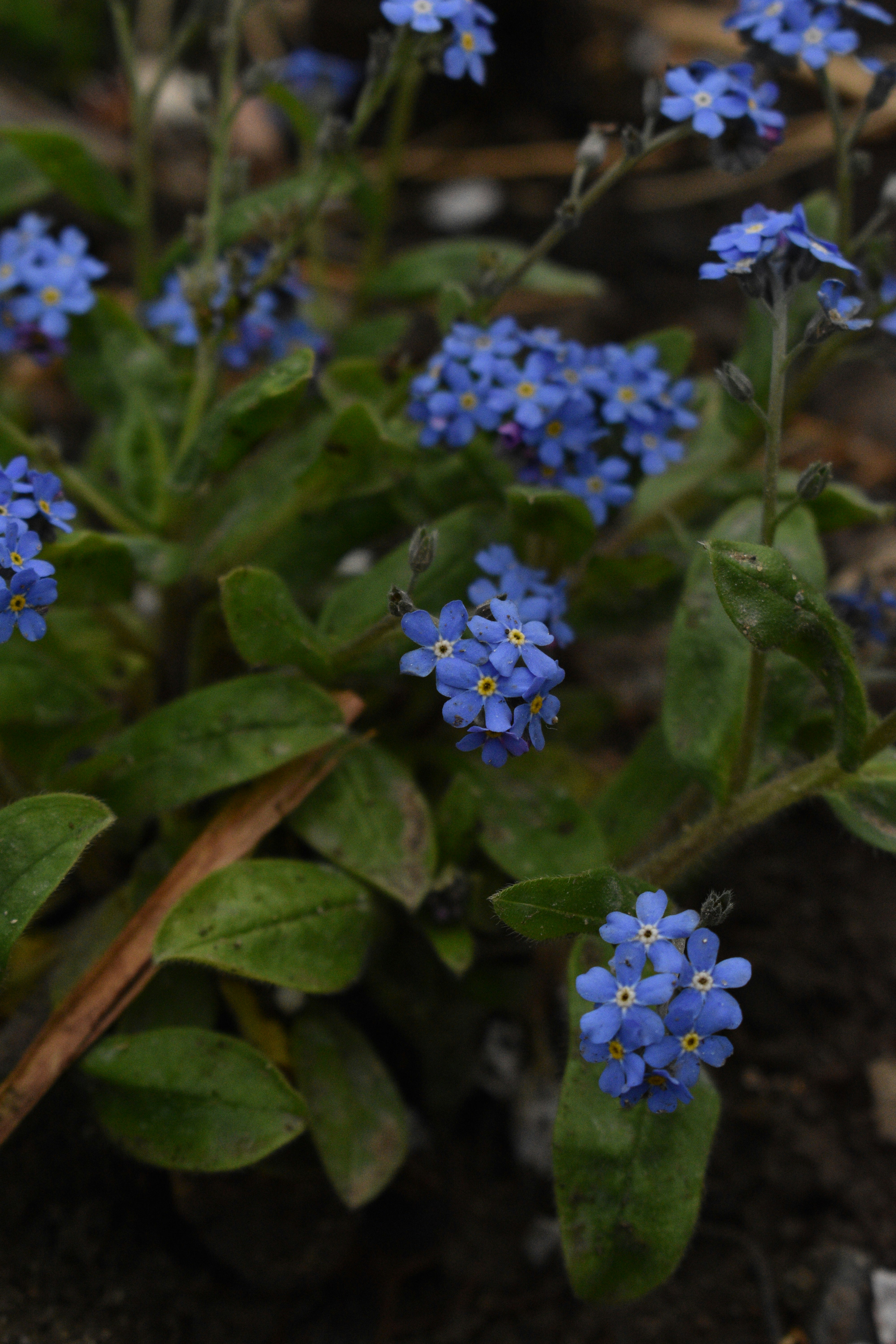 Photo by rebeca_adnana_f