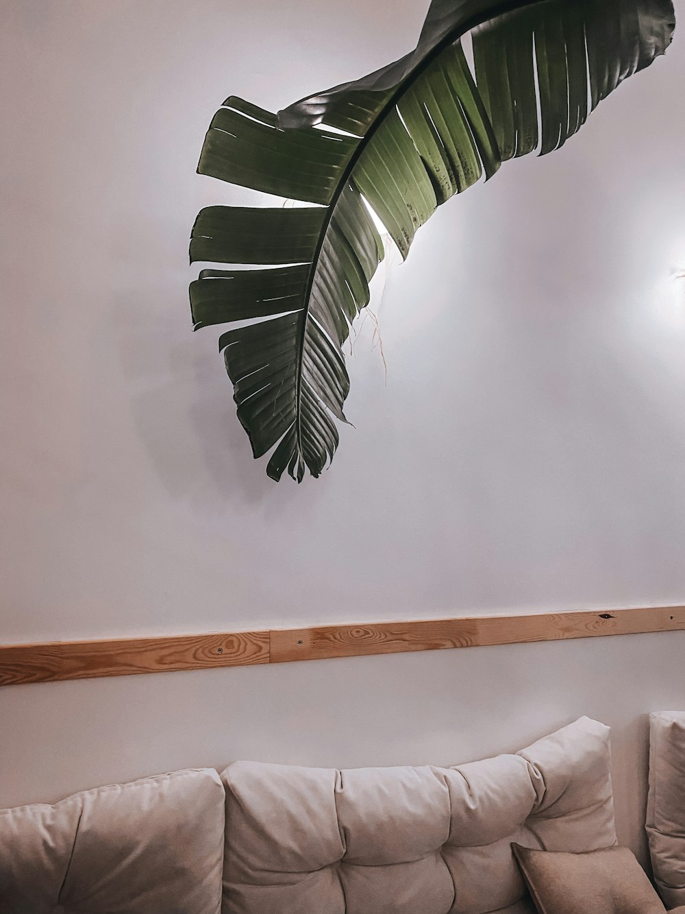 uma sala de estar com um sofá branco e uma grande planta verde pendurada na parede
