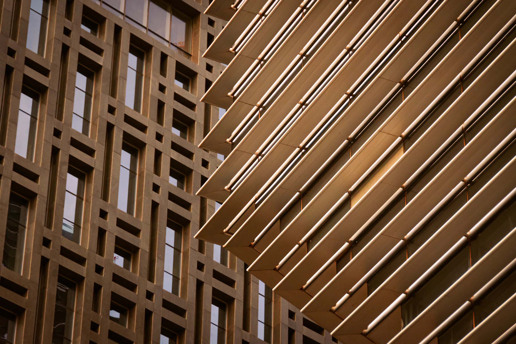 Timber Hall project image 4