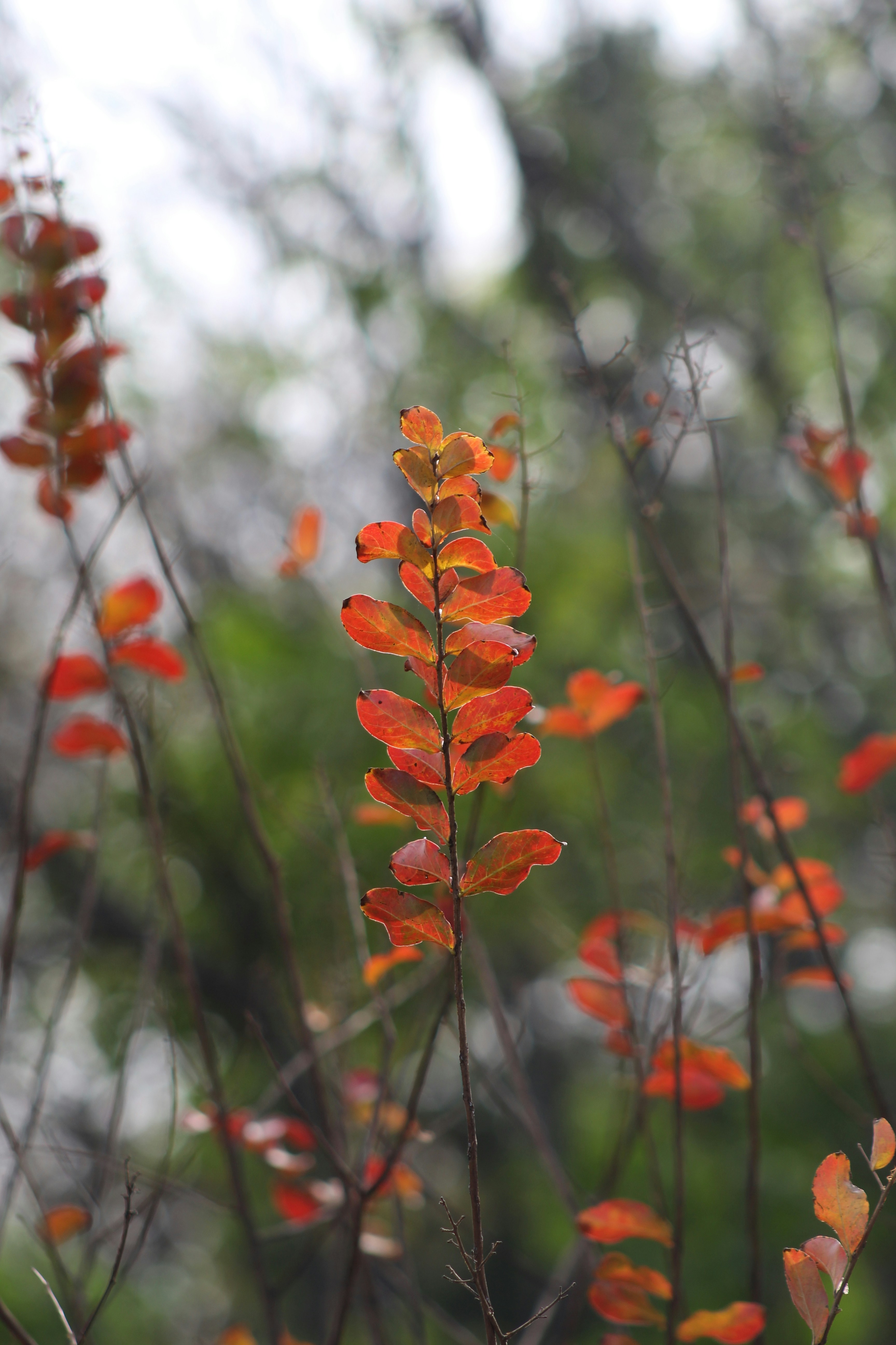 Photo by lilyycamillephoto