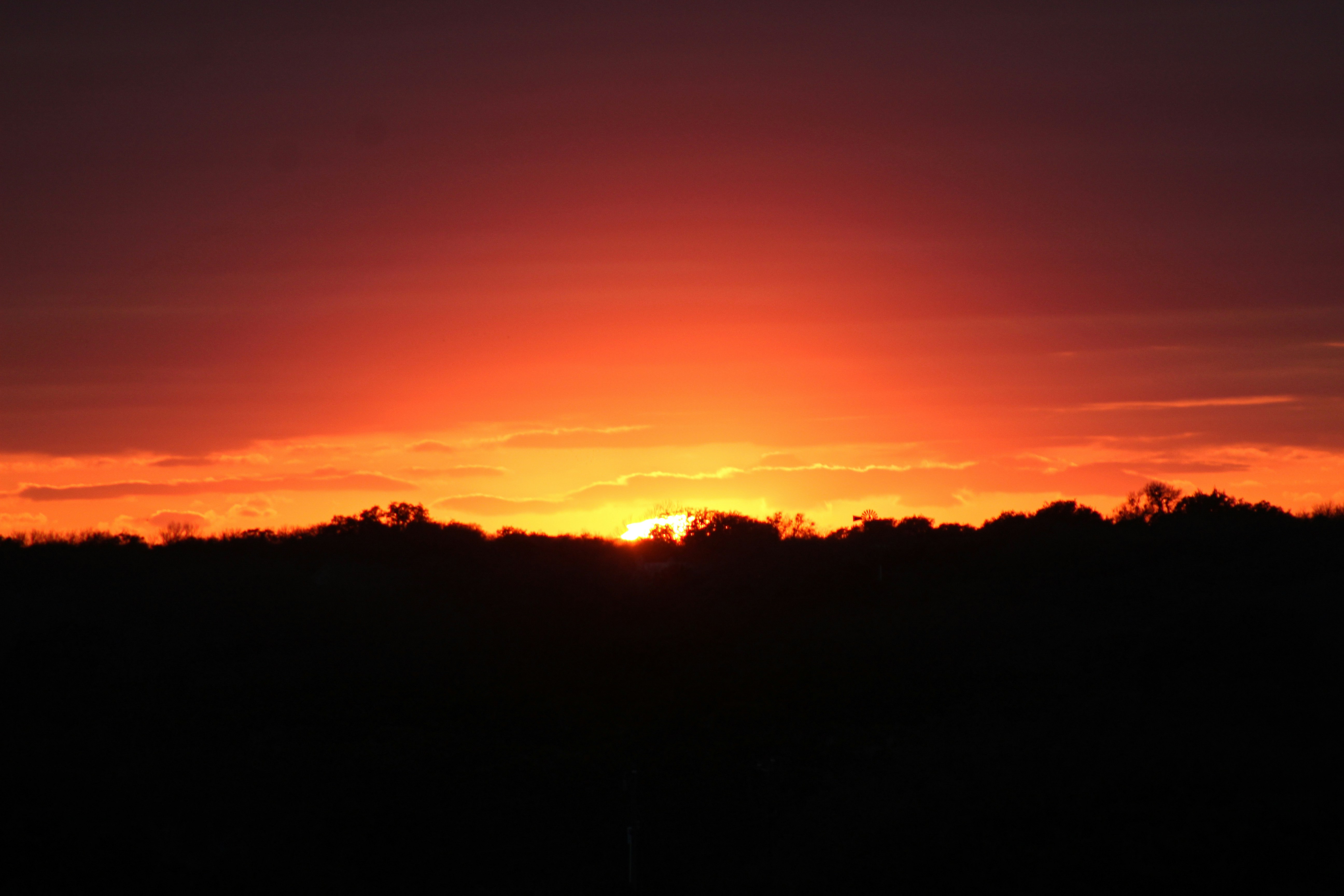 Photo by lilyycamillephoto