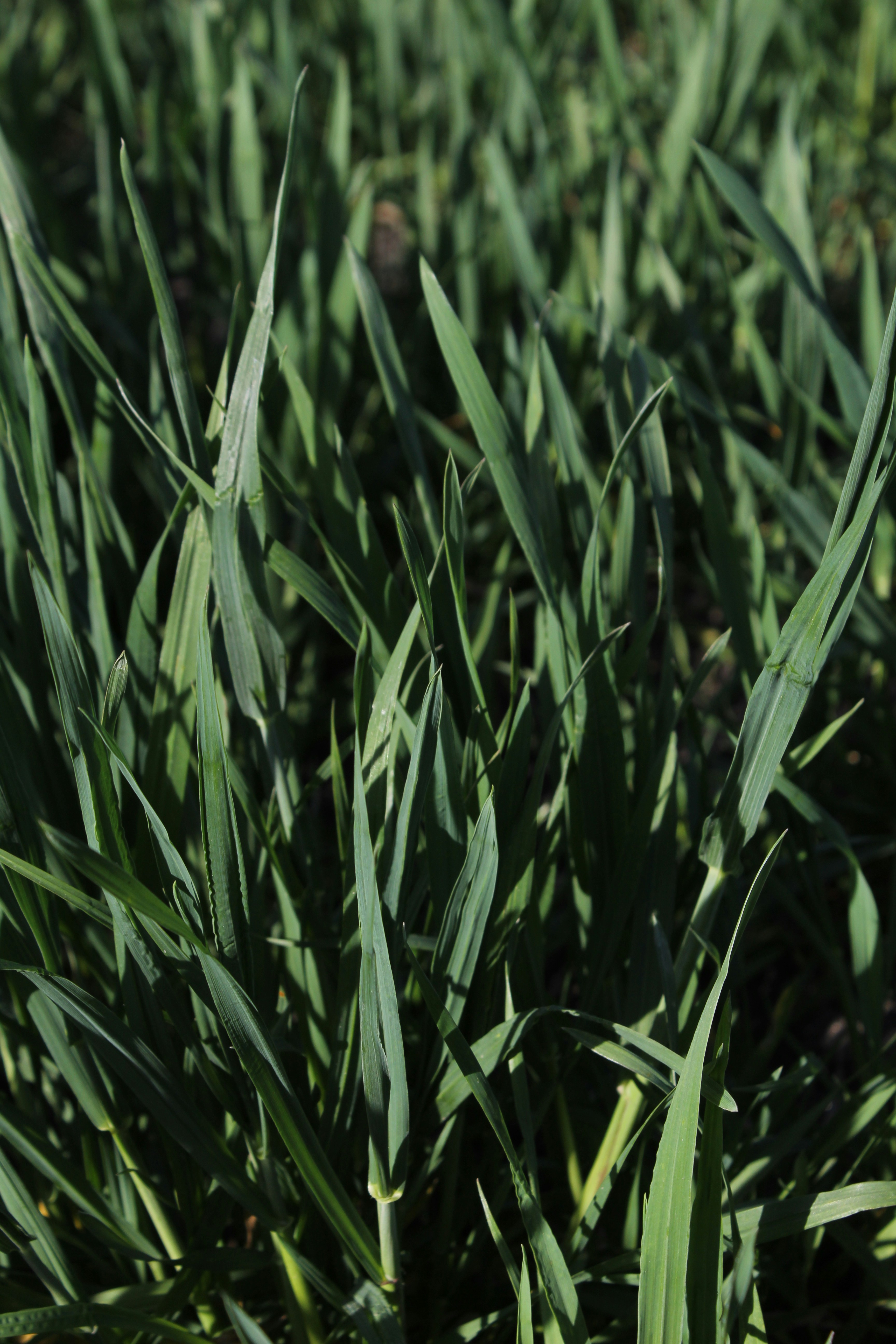 Photo by lilyycamillephoto