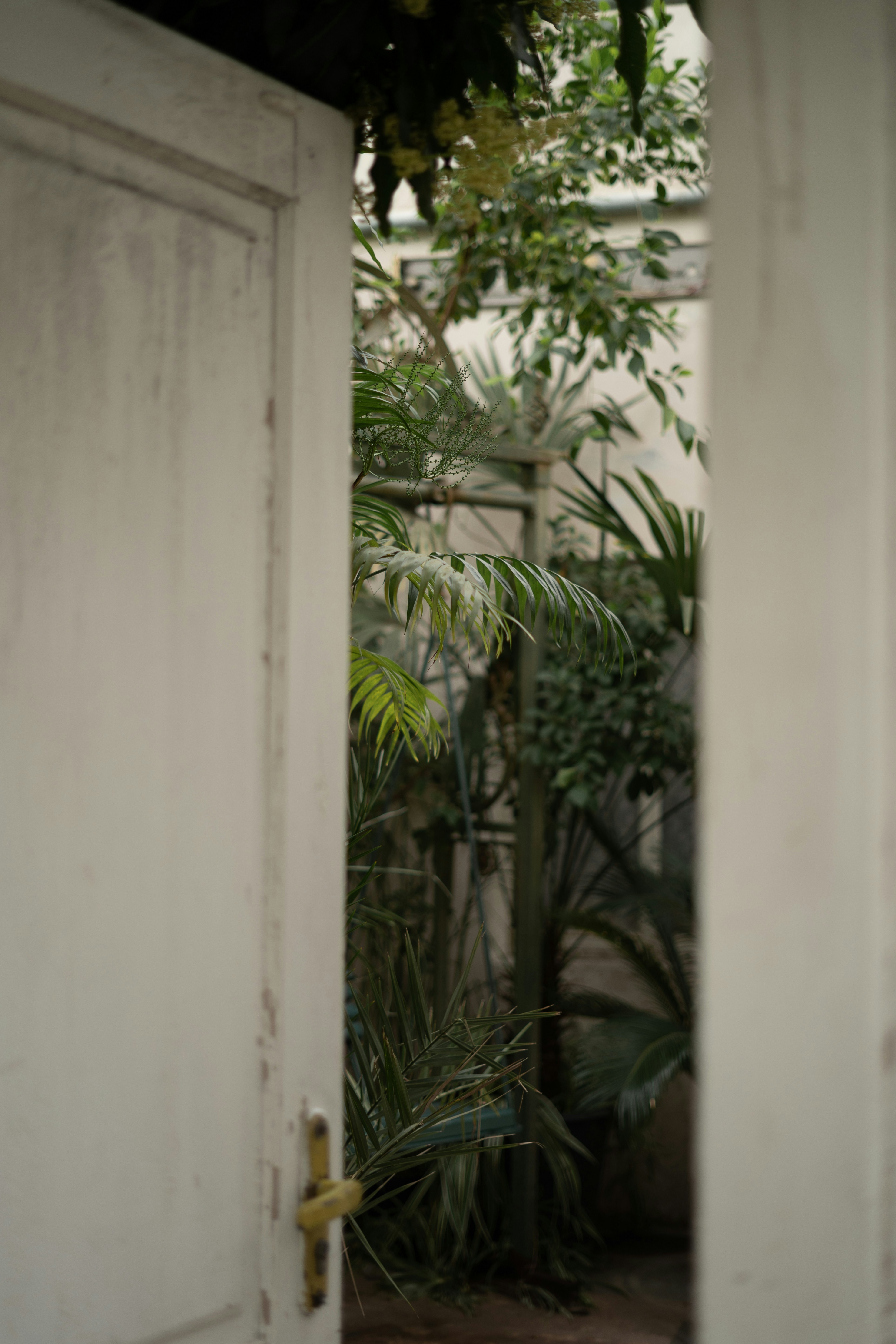 Photo by albina___white