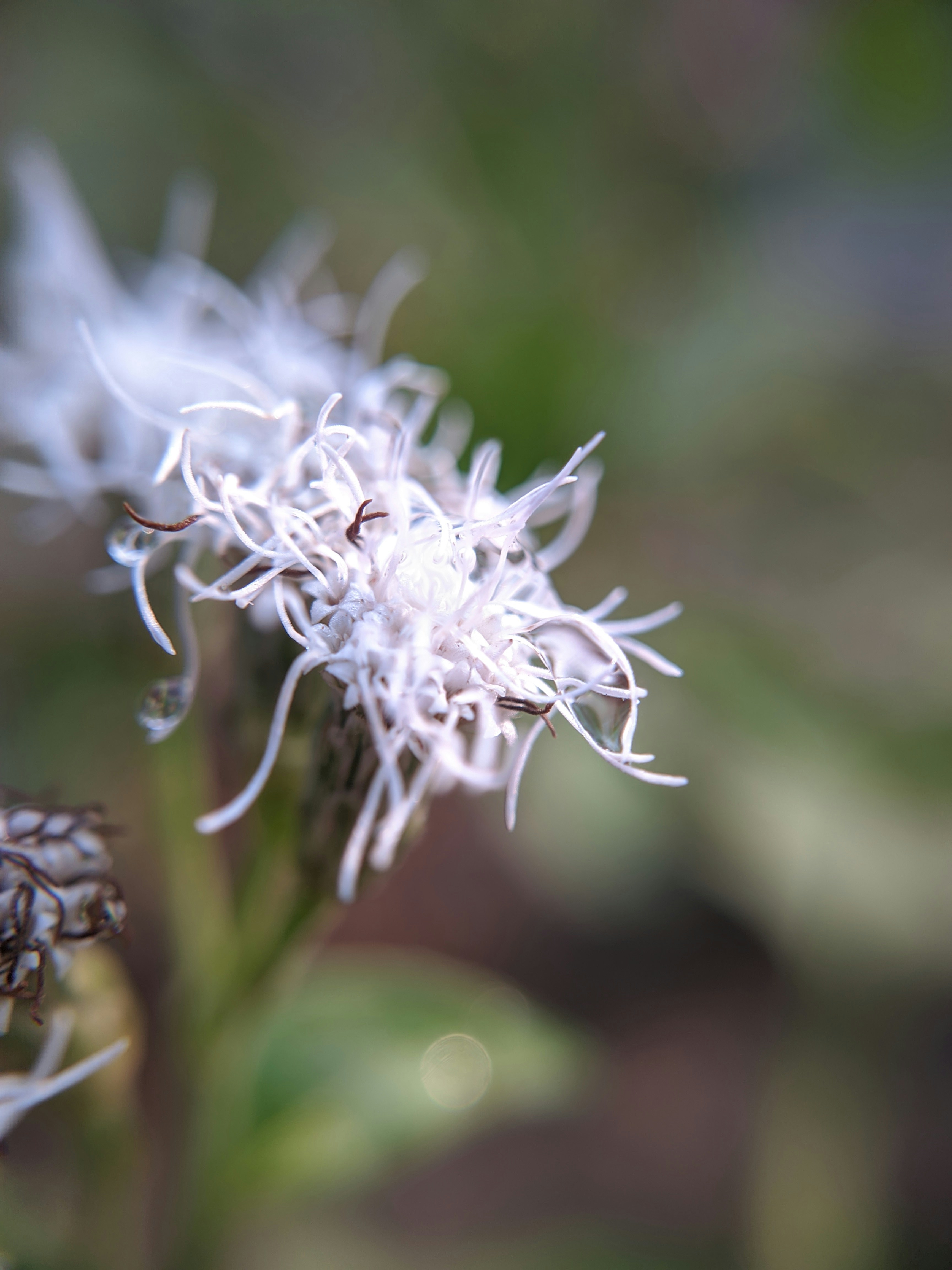 Photo by rijuvijayan