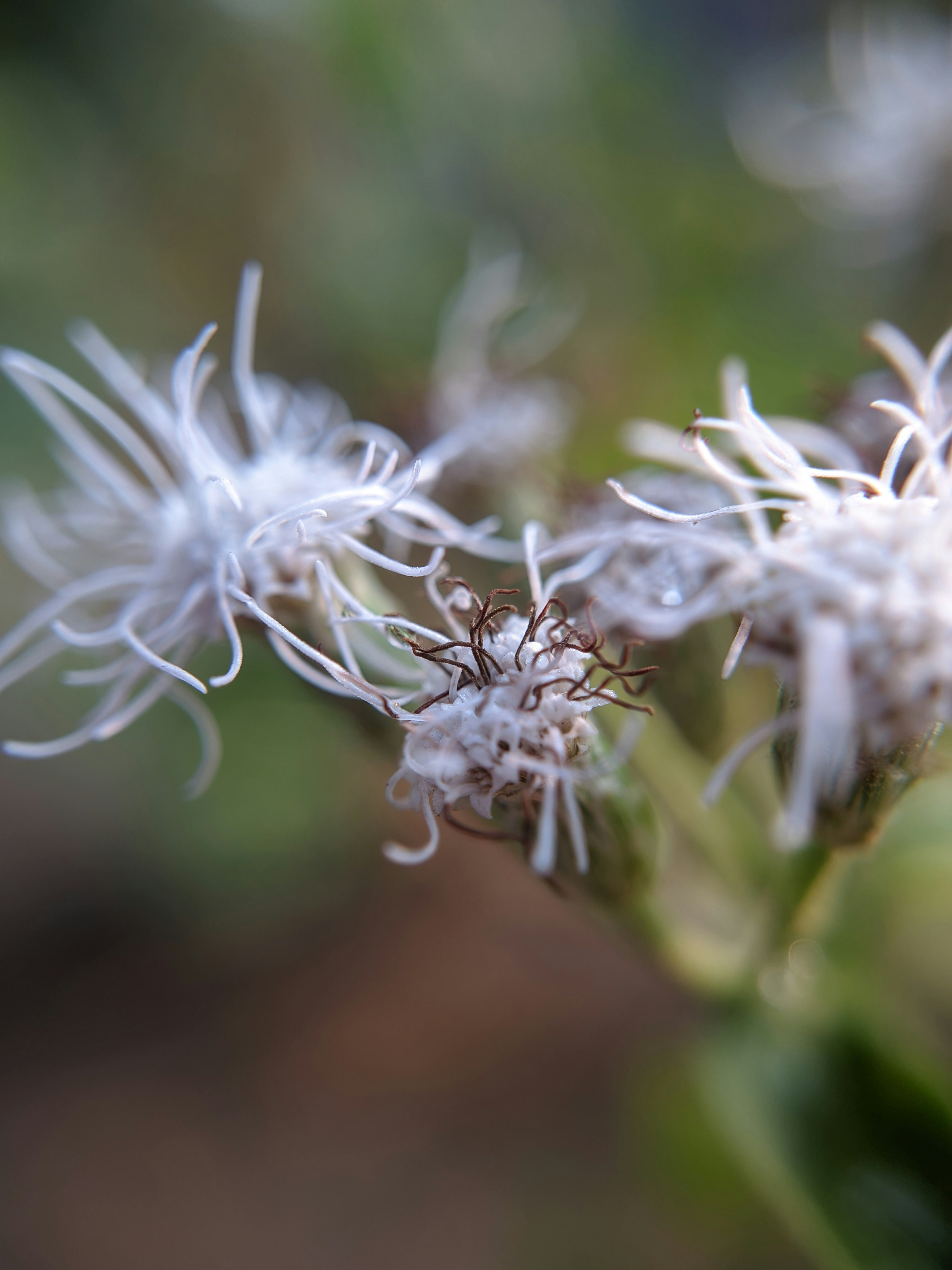 Photo by rijuvijayan