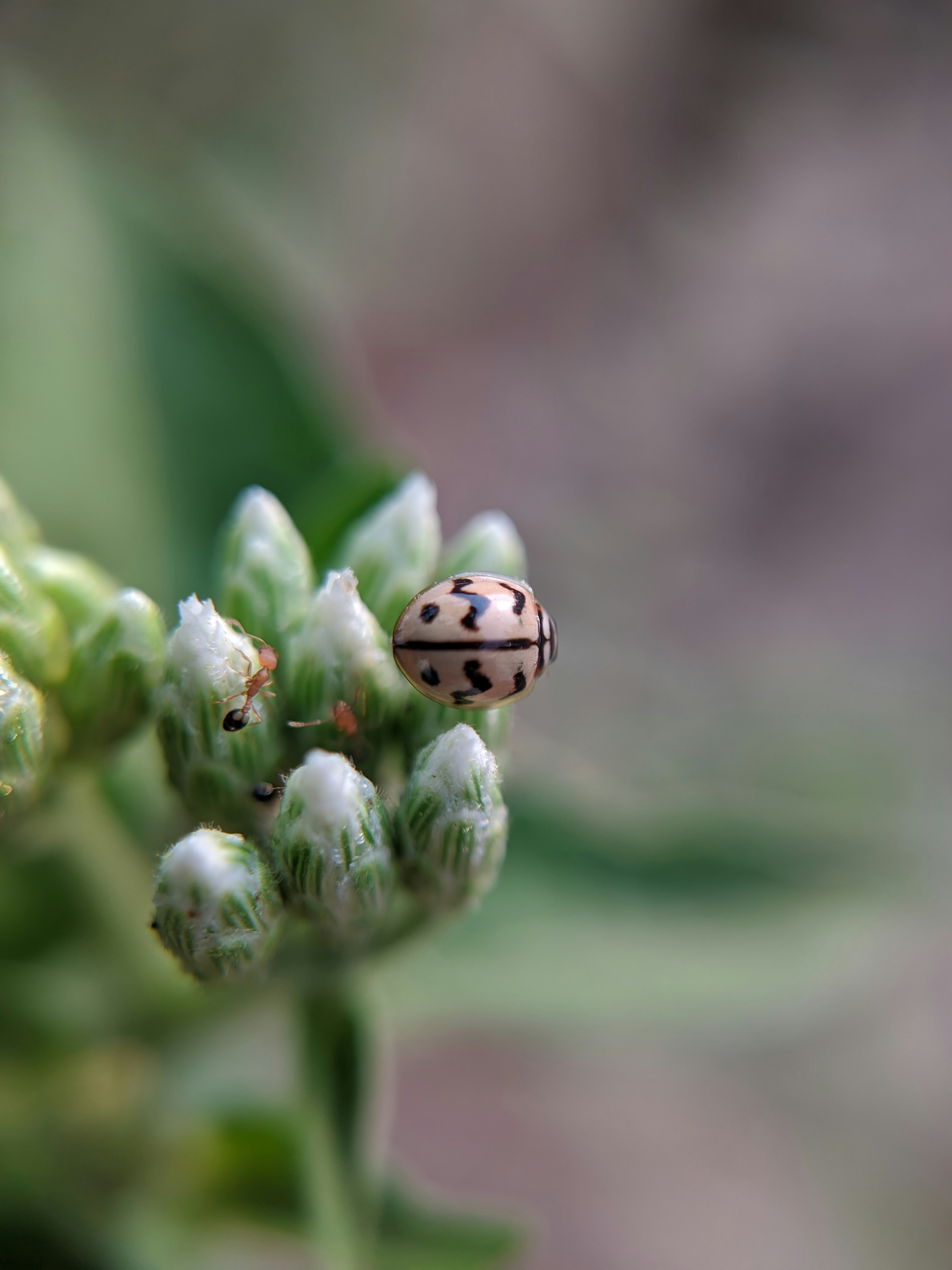 Photo by rijuvijayan