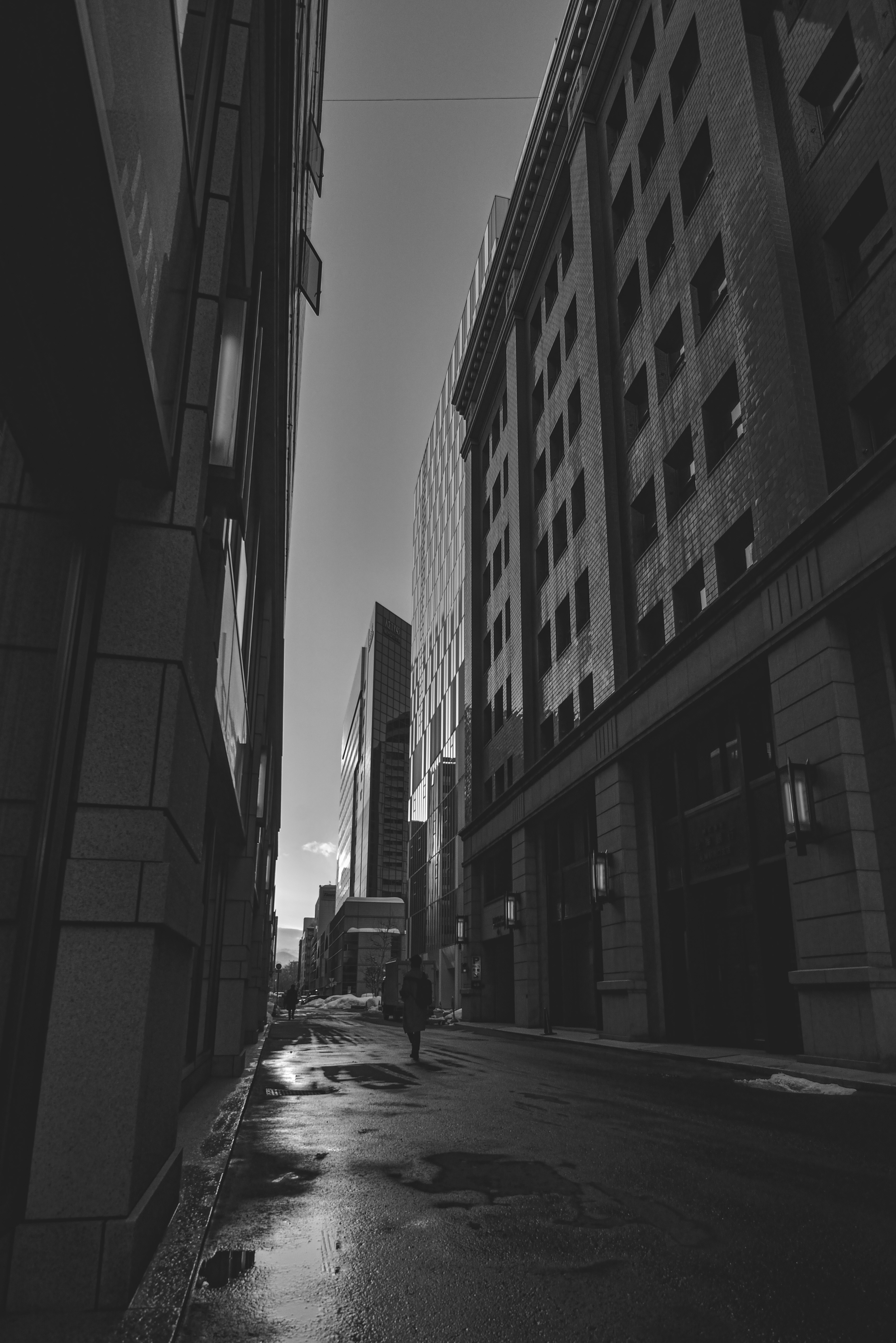 Photo by terra_gallery